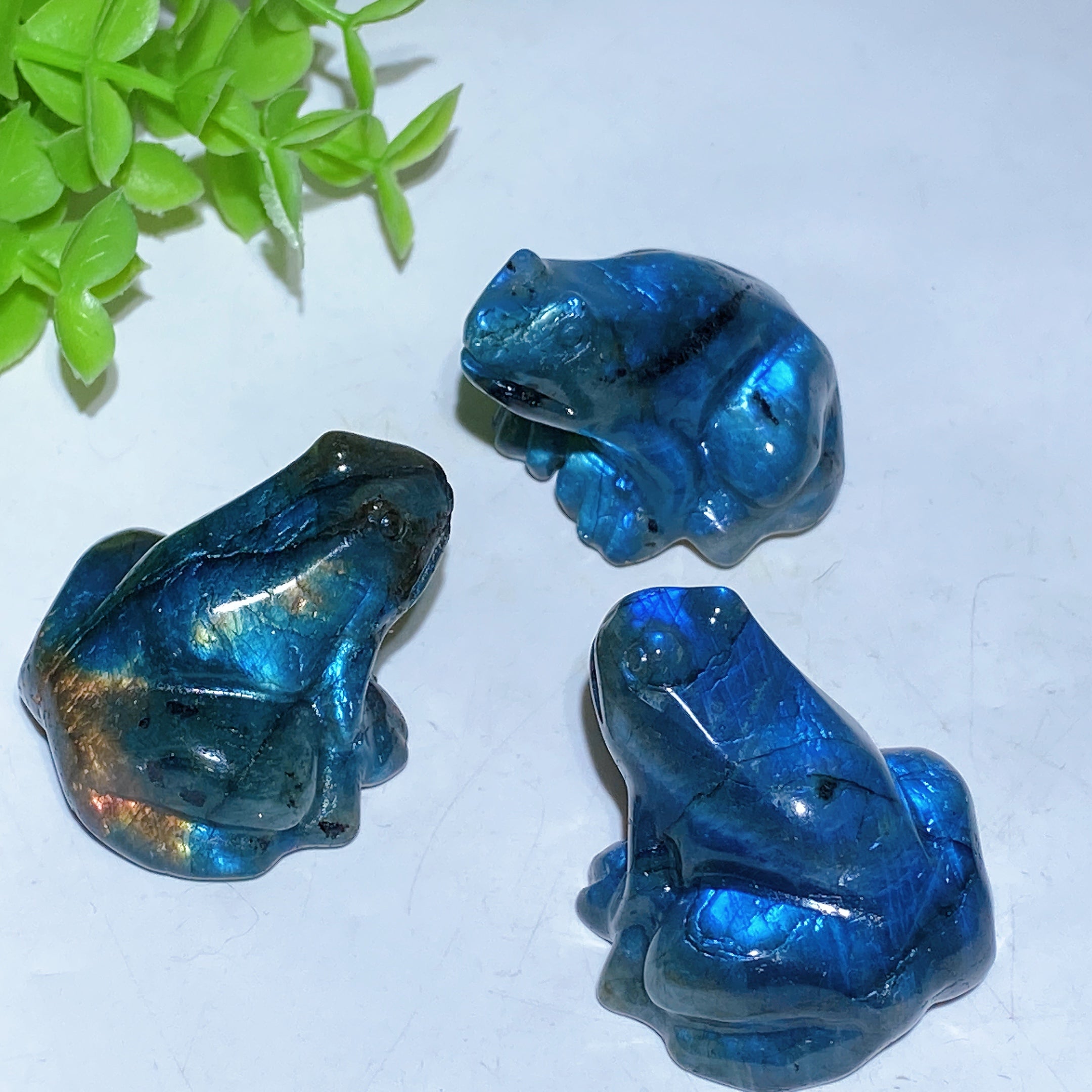 Sculpture de grenouille en cristal de labradorite de 1,8 pouce pour la guérison