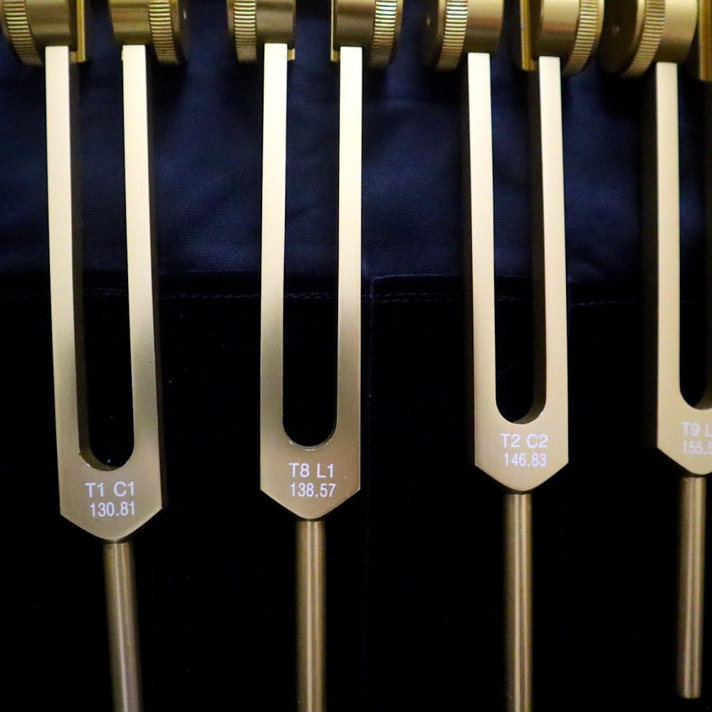 Metallic tuning forks with frequency markings in 12pc Song of the Spine Biofield set