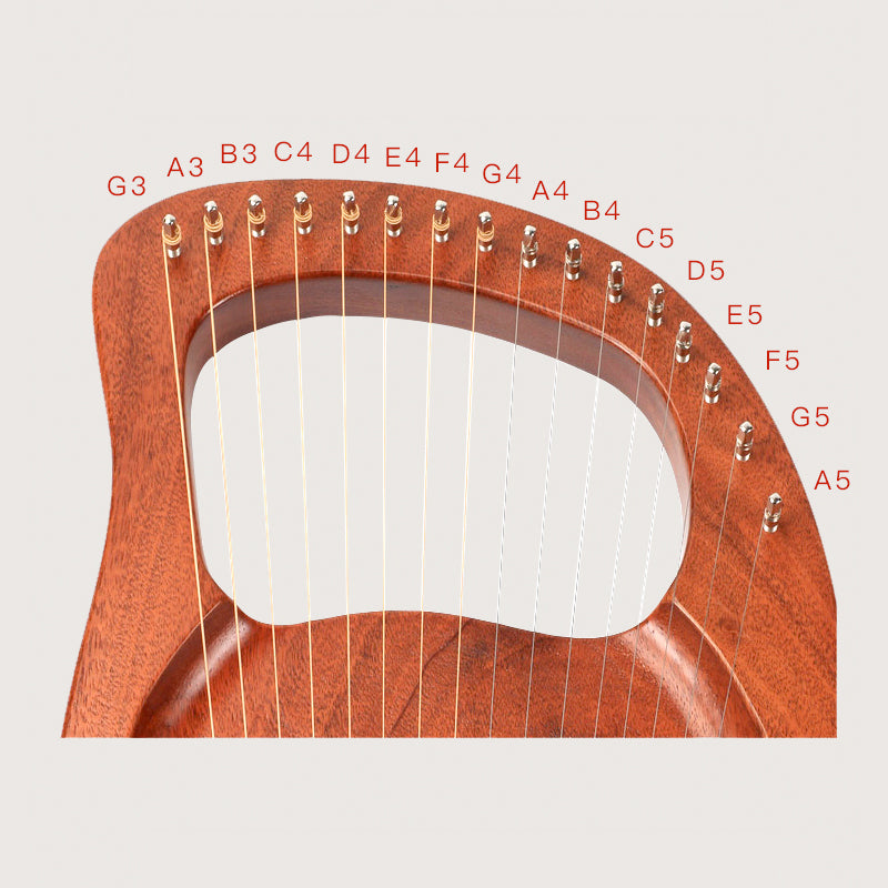 Wooden 16-String Mahogany Lyre Harp with labeled strings and tuning pins for easy use