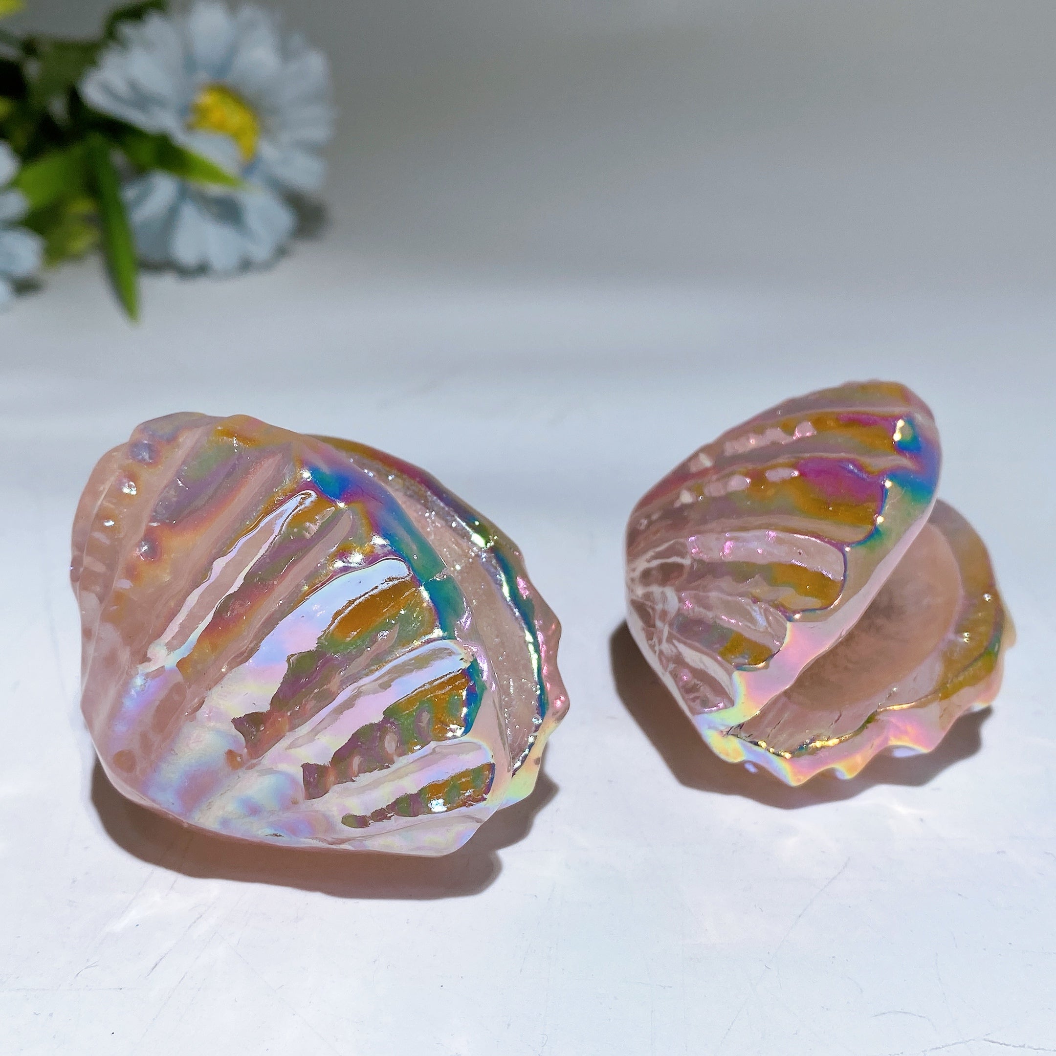 Figurine coquillage en cristal de quartz rose Aura de 2,2 pouces
