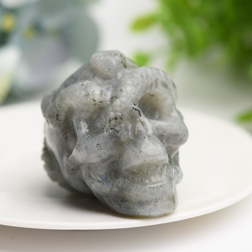 Sculptures de crânes en cristal mixtes de 5,6 cm pour la guérison spirituelle