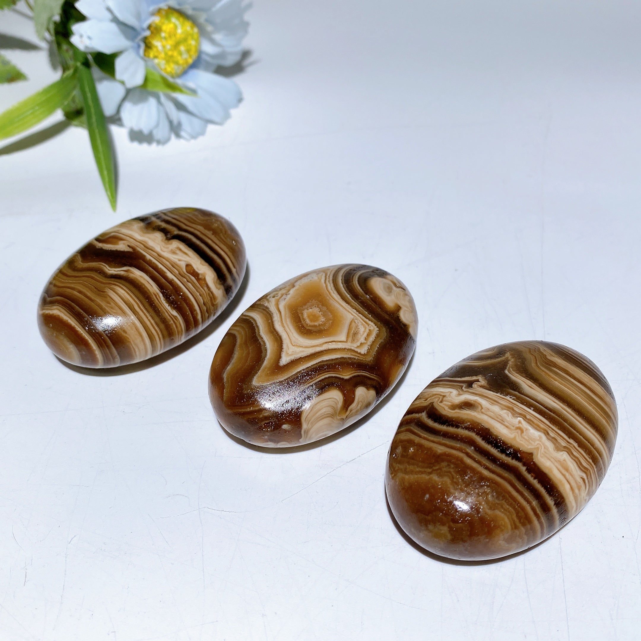 Pierre de paume en calcite chocolat de 2,4 pouces pour la guérison