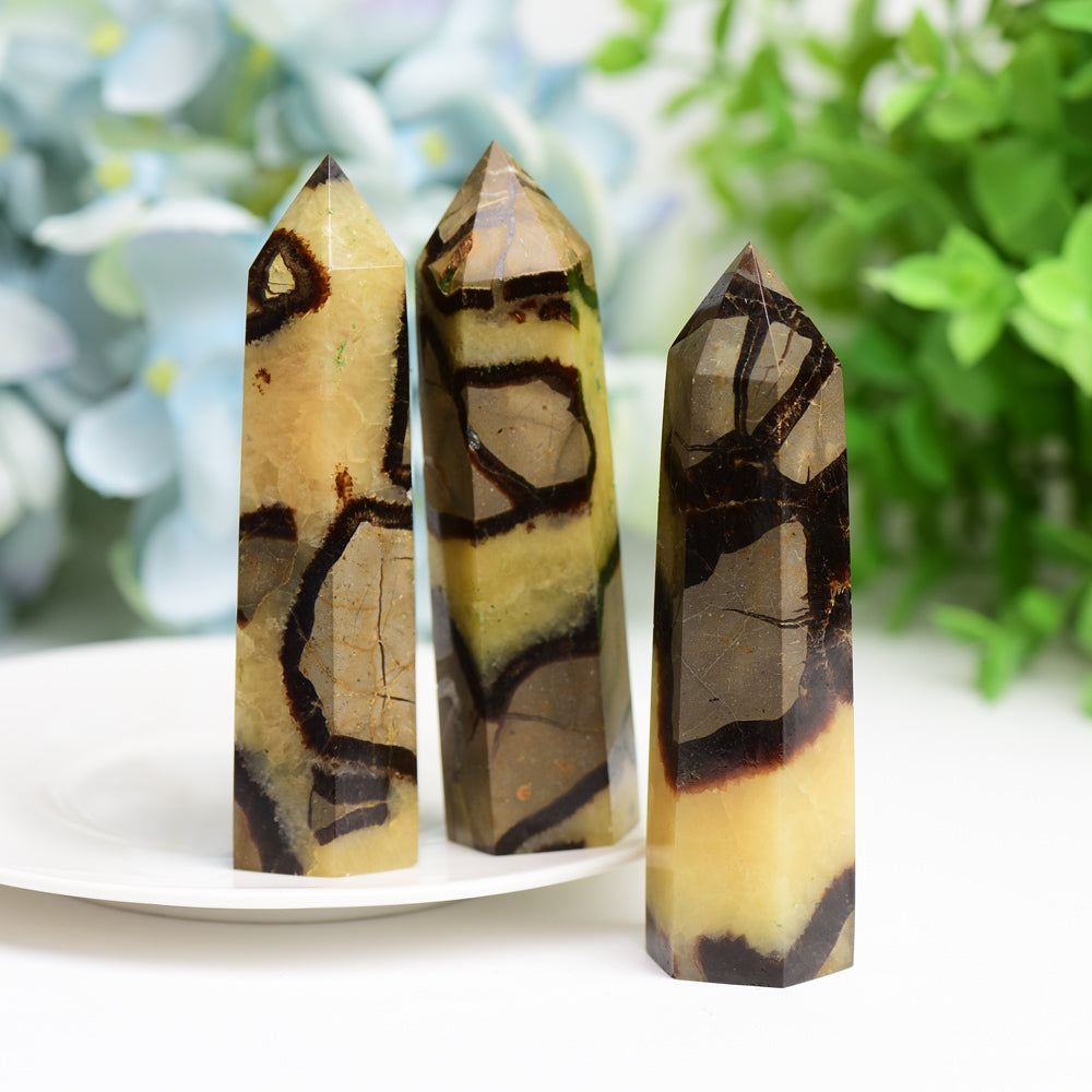 2.5-4.5 Inch Septarium Crystal Point Set for Healing