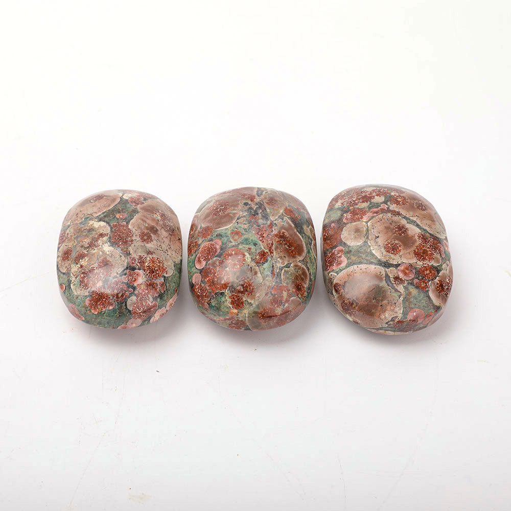 Pierre de palmier de 2,5 pouces polie pour l'énergie de guérison