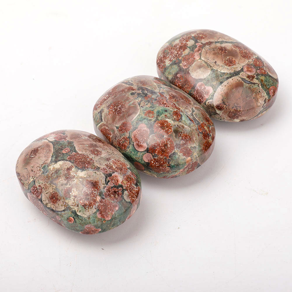 Pierre de palmier de 2,5 pouces polie pour l'énergie de guérison