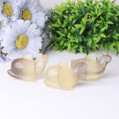 2.5-inch Fluorite Dolphin Crystal Figurine Healing