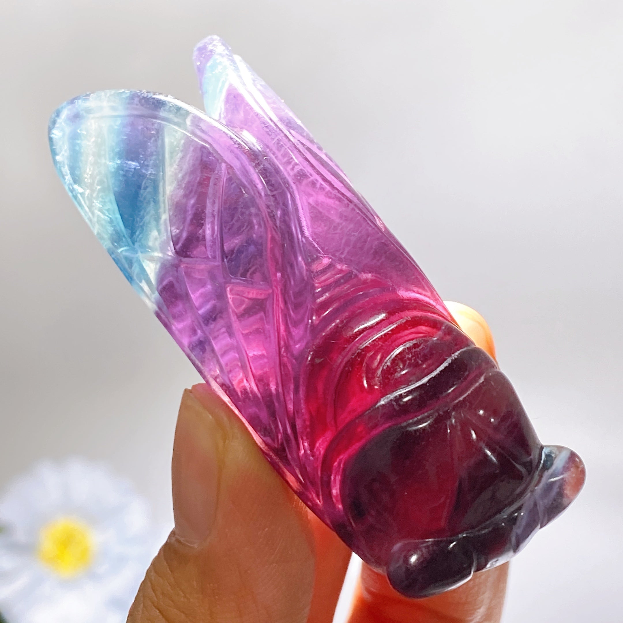 Sculpture en cristal de cigale en fluorite arc-en-ciel de 2,7 pouces