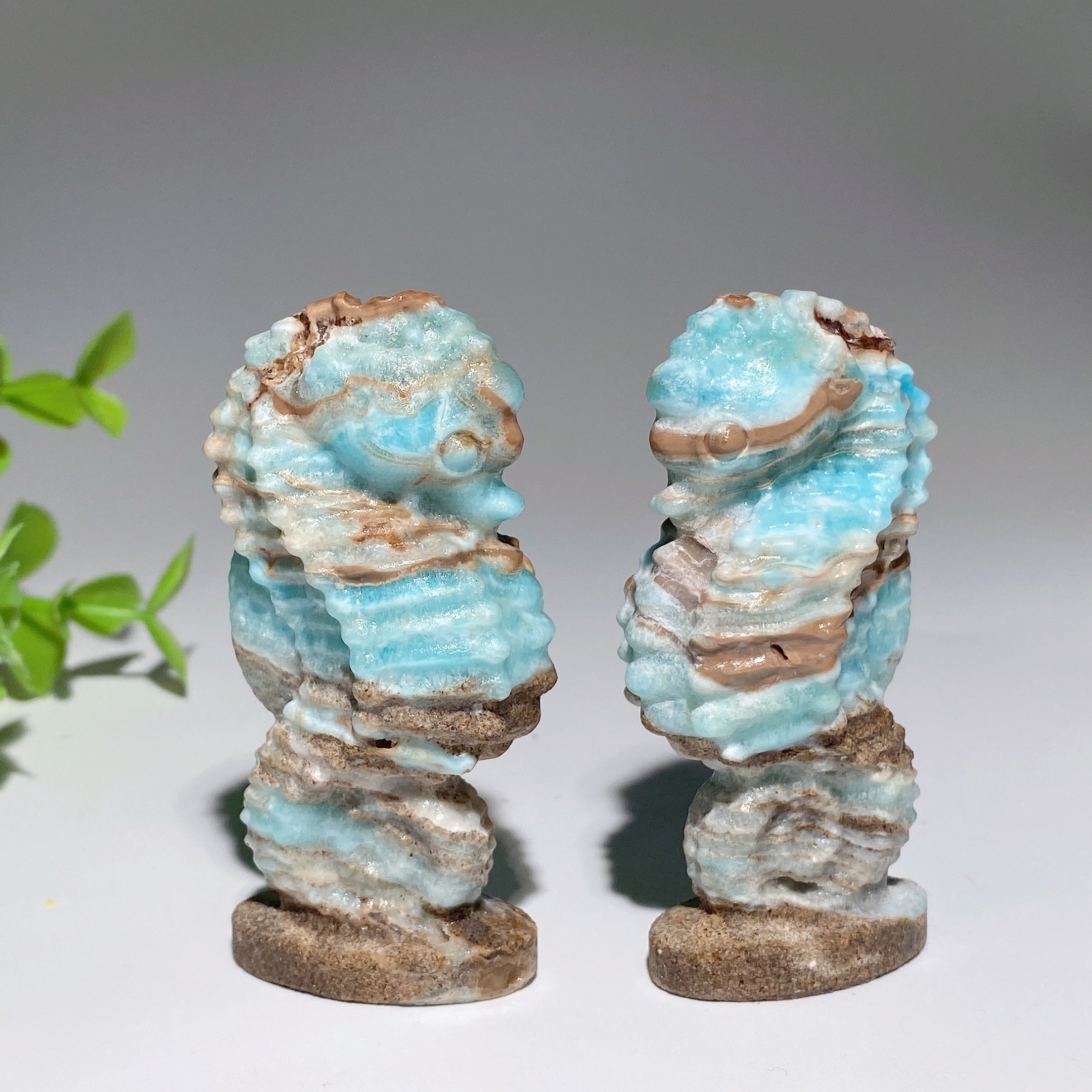 Sculpture en cristal d'hippocampe hémimorphite de 2,8 pouces