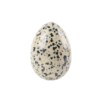 Pierre de paume en cristal d'œuf de jaspe dalmatien de 5 cm pour la guérison