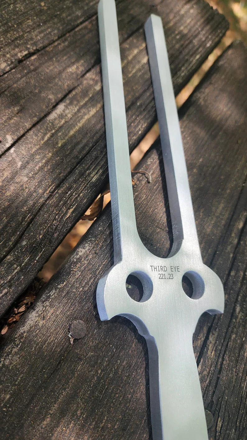 Metal tuning fork with two parallel prongs from 22 Inch Double Trident Large Tuning Fork