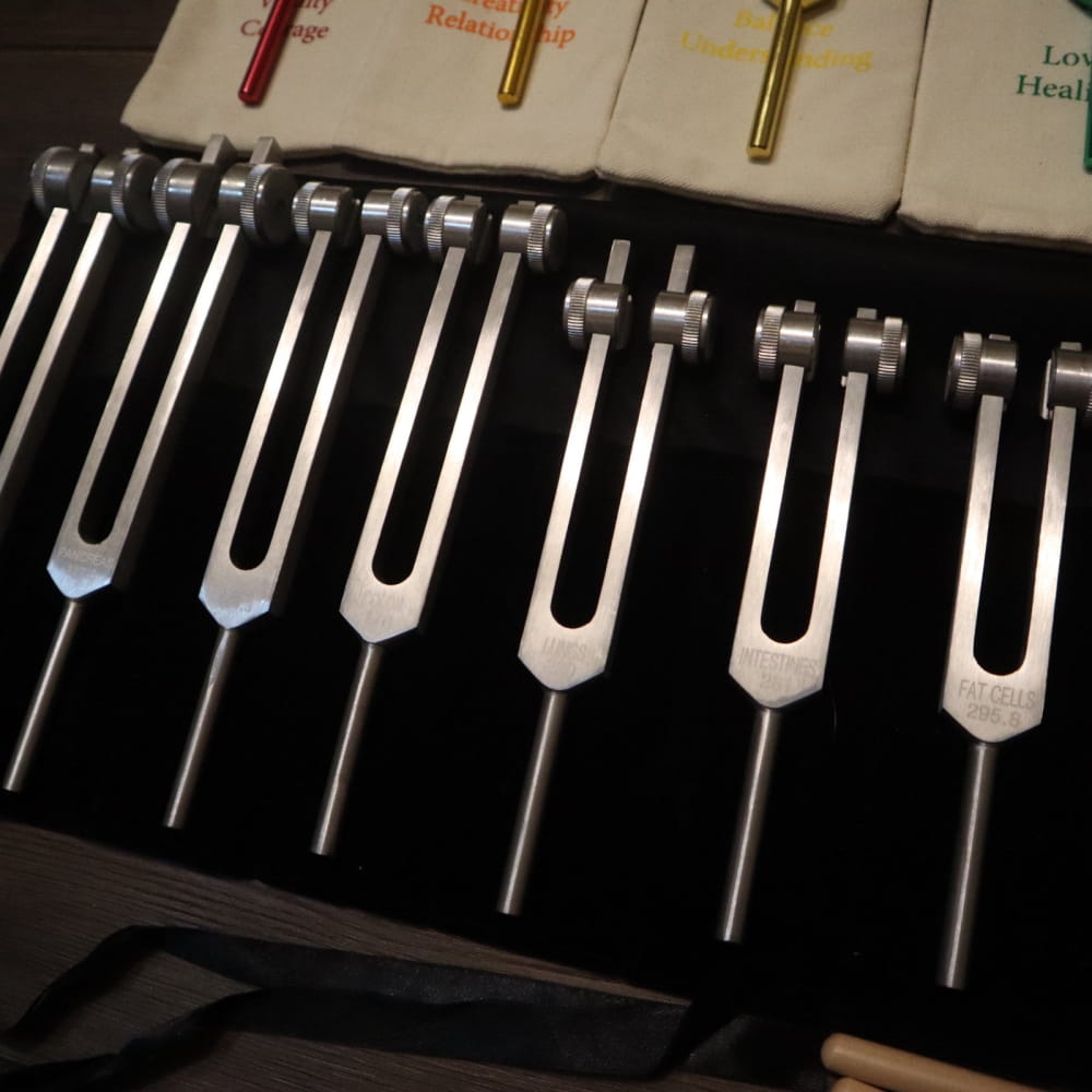 Set of medical tuning forks in a row from 23pc Human Biology & Chakra Tuning Fork Set