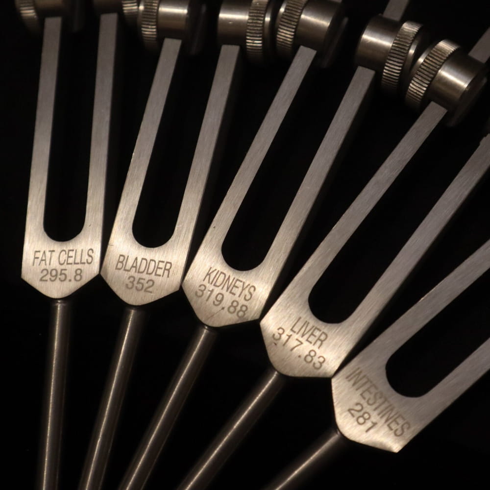 Medical tuning forks labeled with frequencies for sound healing and body parts