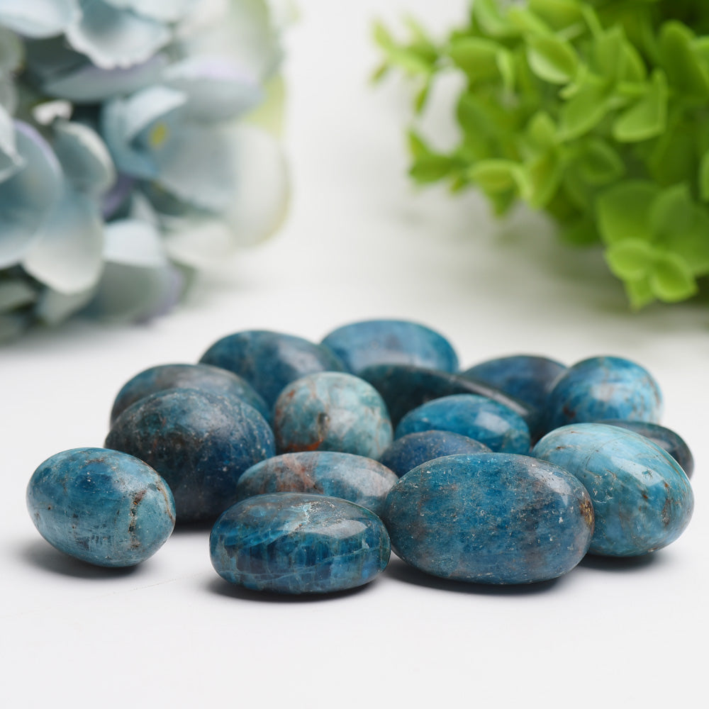 Pierres de cristal roulées d'apatite bleue de 25 à 30 mm