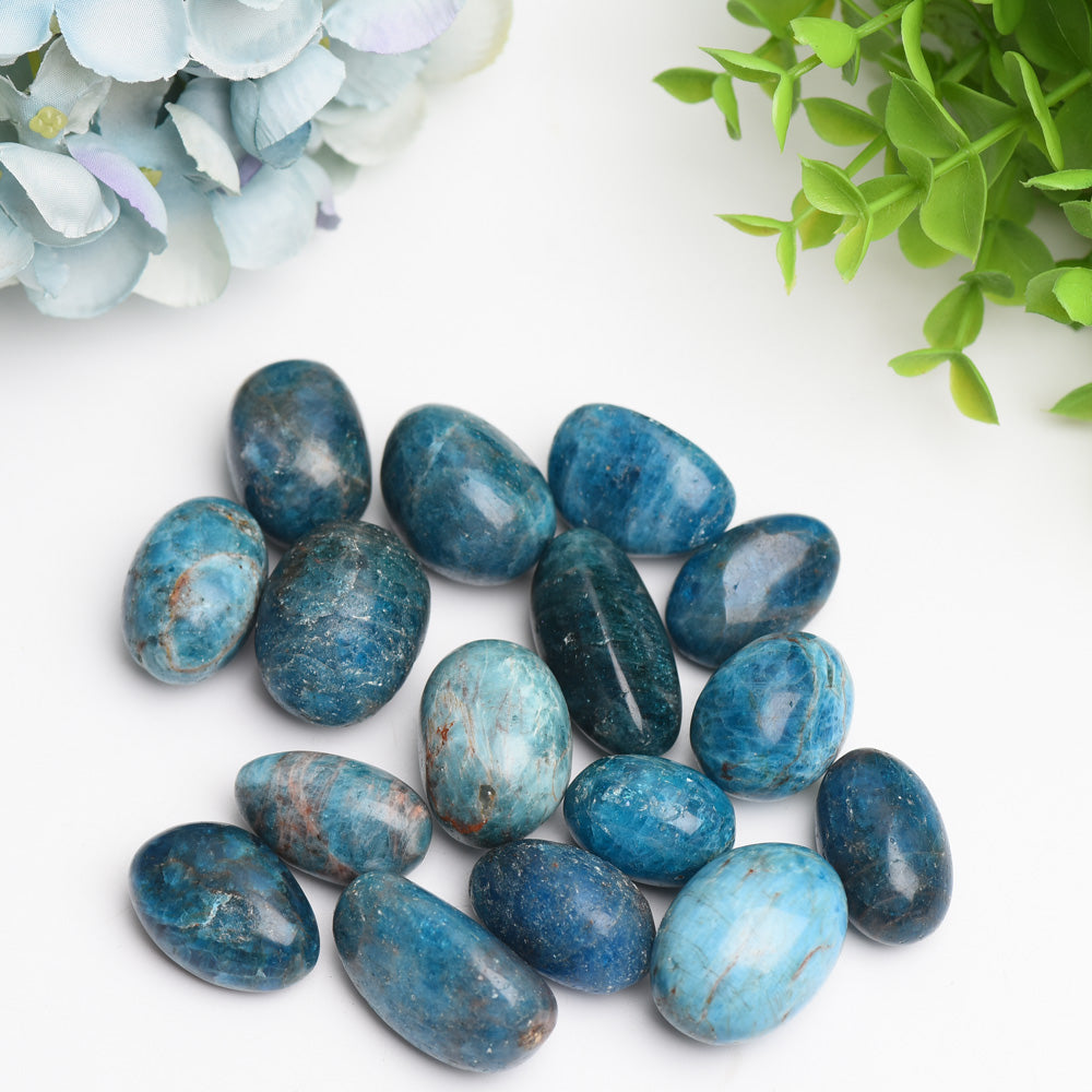 Pierres de cristal roulées d'apatite bleue de 25 à 30 mm
