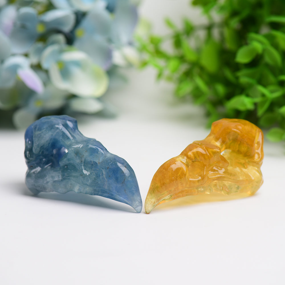 Figurine en cristal de crâne de corbeau en fluorite de 3,0 pouces