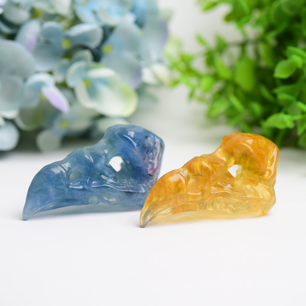 Figurine en cristal de crâne de corbeau en fluorite de 3,0 pouces