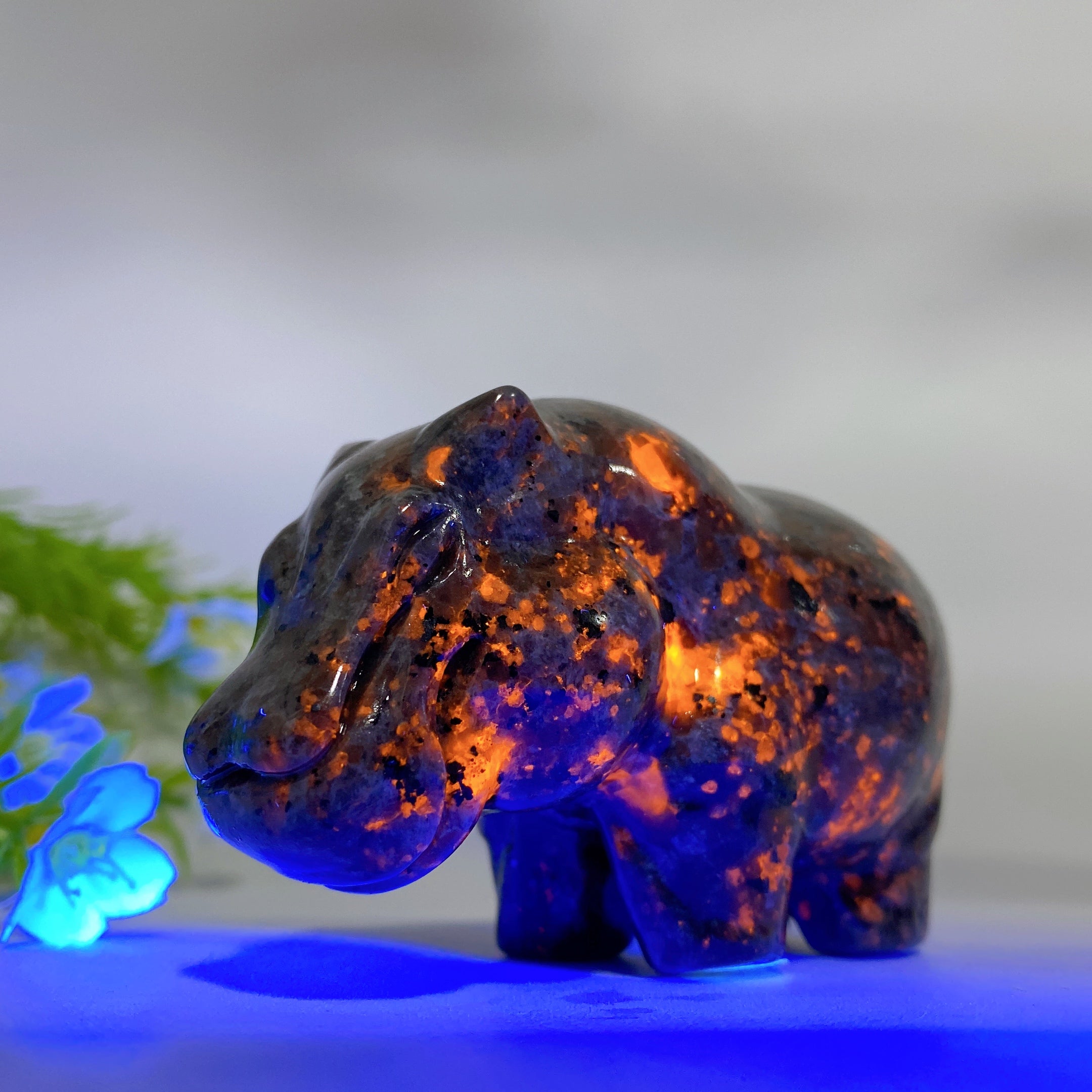 Sculpture en cristal d'hippopotame Yooperlite réactive aux UV de 3,0 pouces