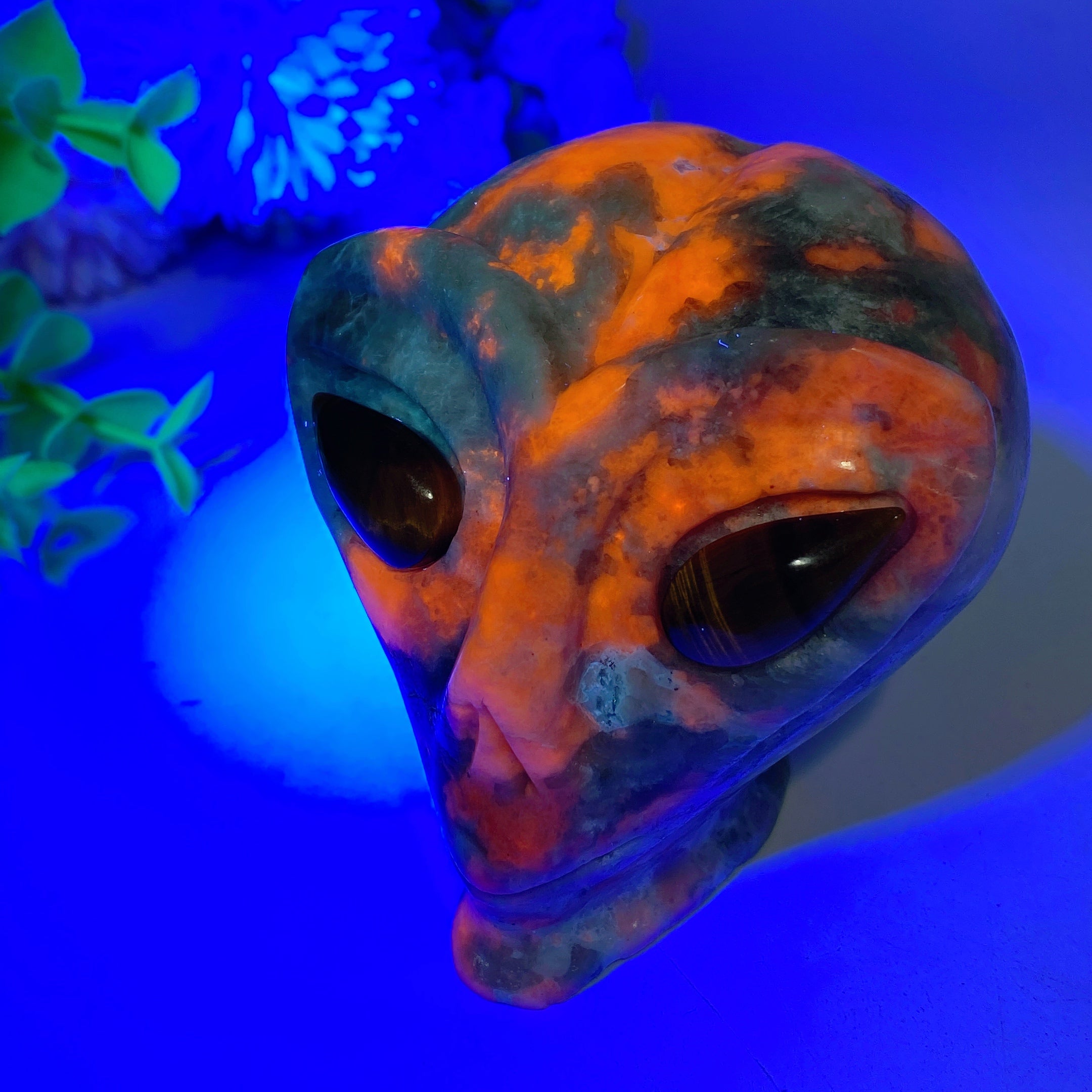 3.1-inch UV Reactive Hackmanite Alien Head Crystal Figurine