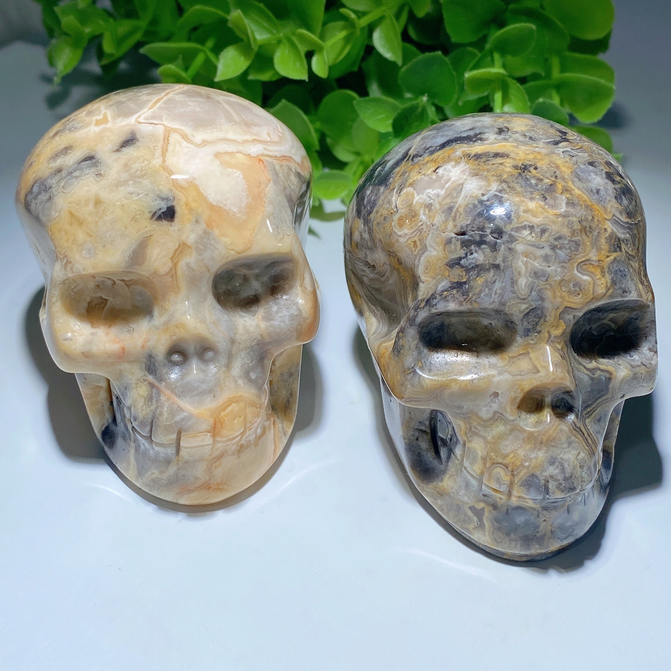 3.2 Inch Crazy Agate Crystal Skull for Healing Meditation