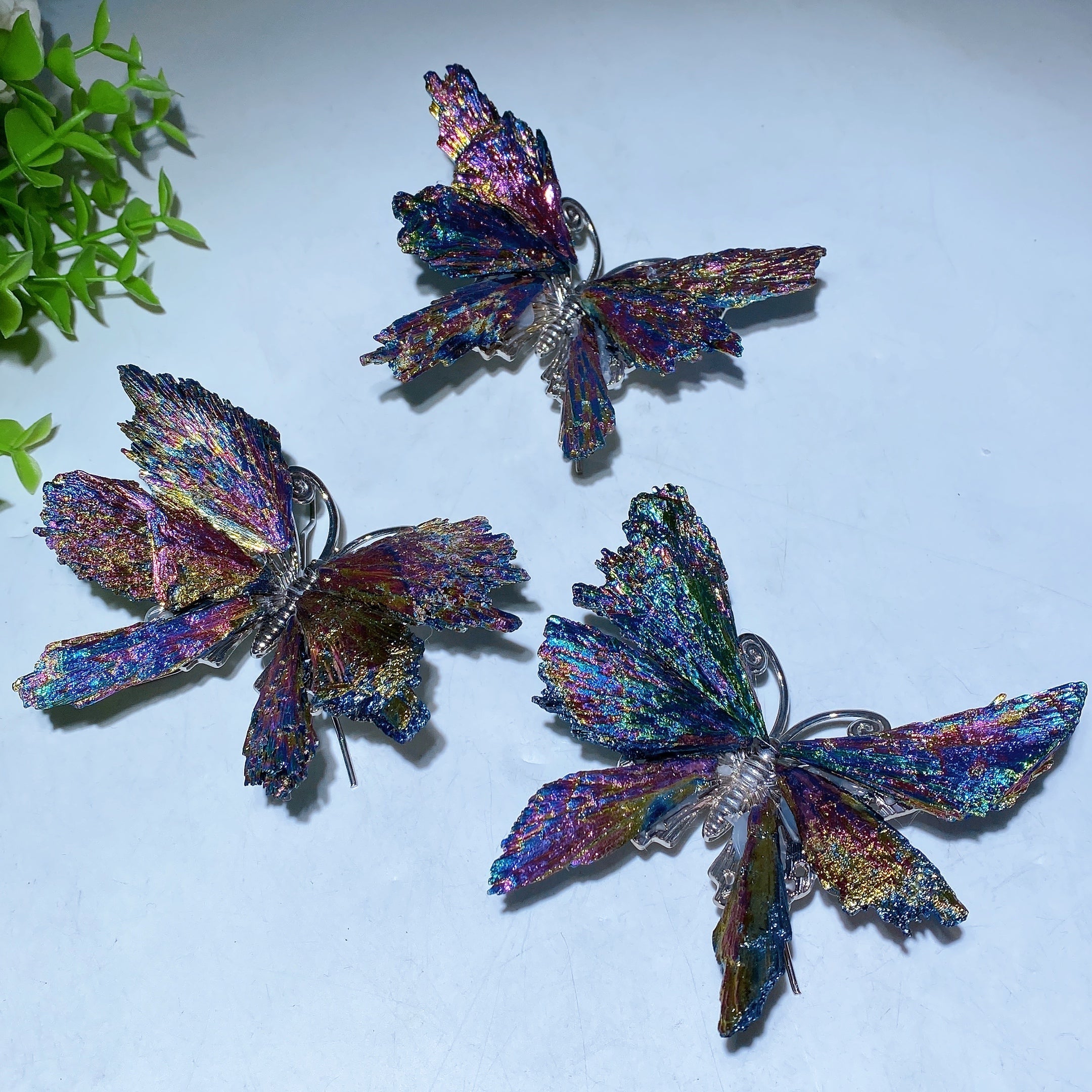 Cristal papillon en tourmaline noire Aura de 3,5 à 4 pouces