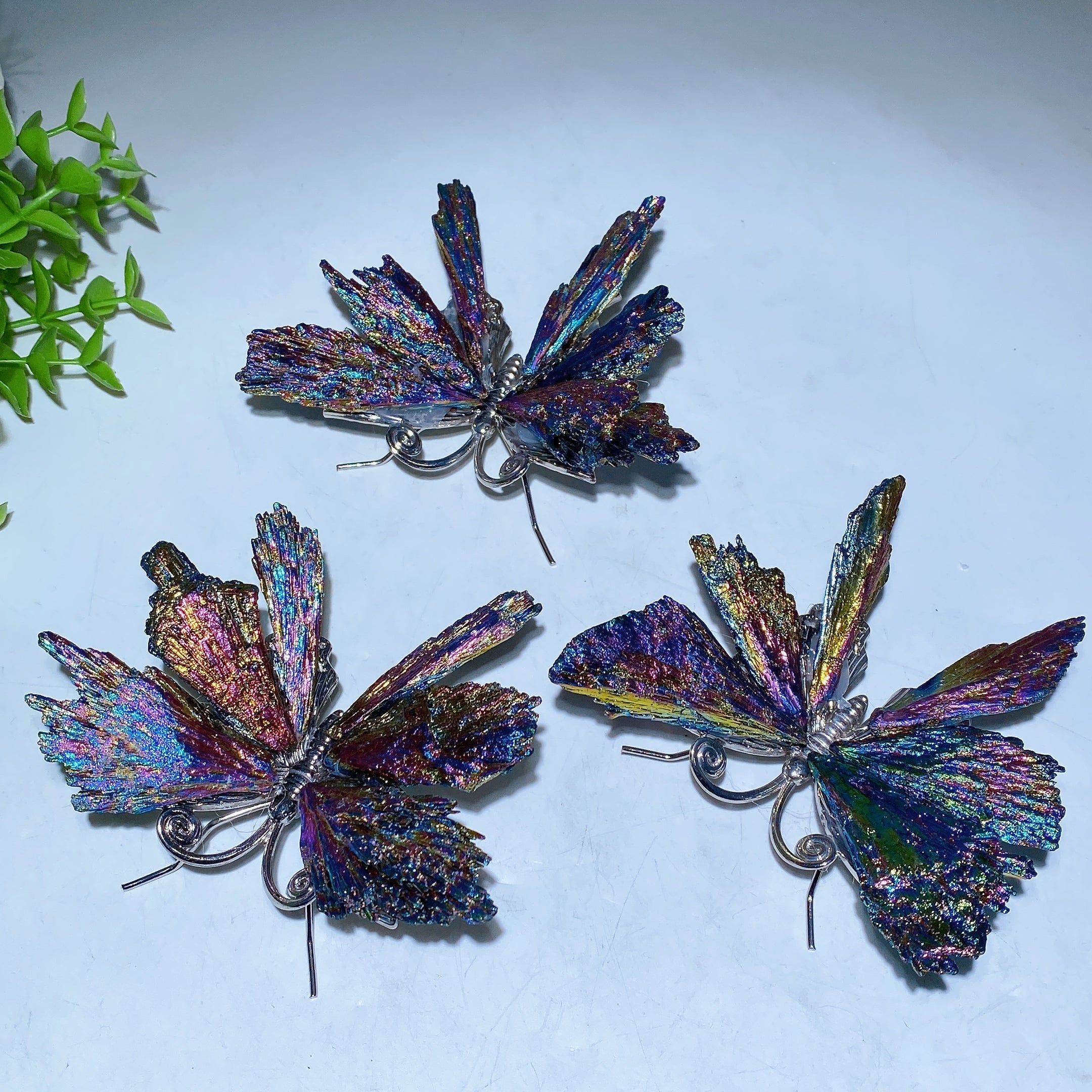 Cristal papillon en tourmaline noire Aura de 3,5 à 4 pouces