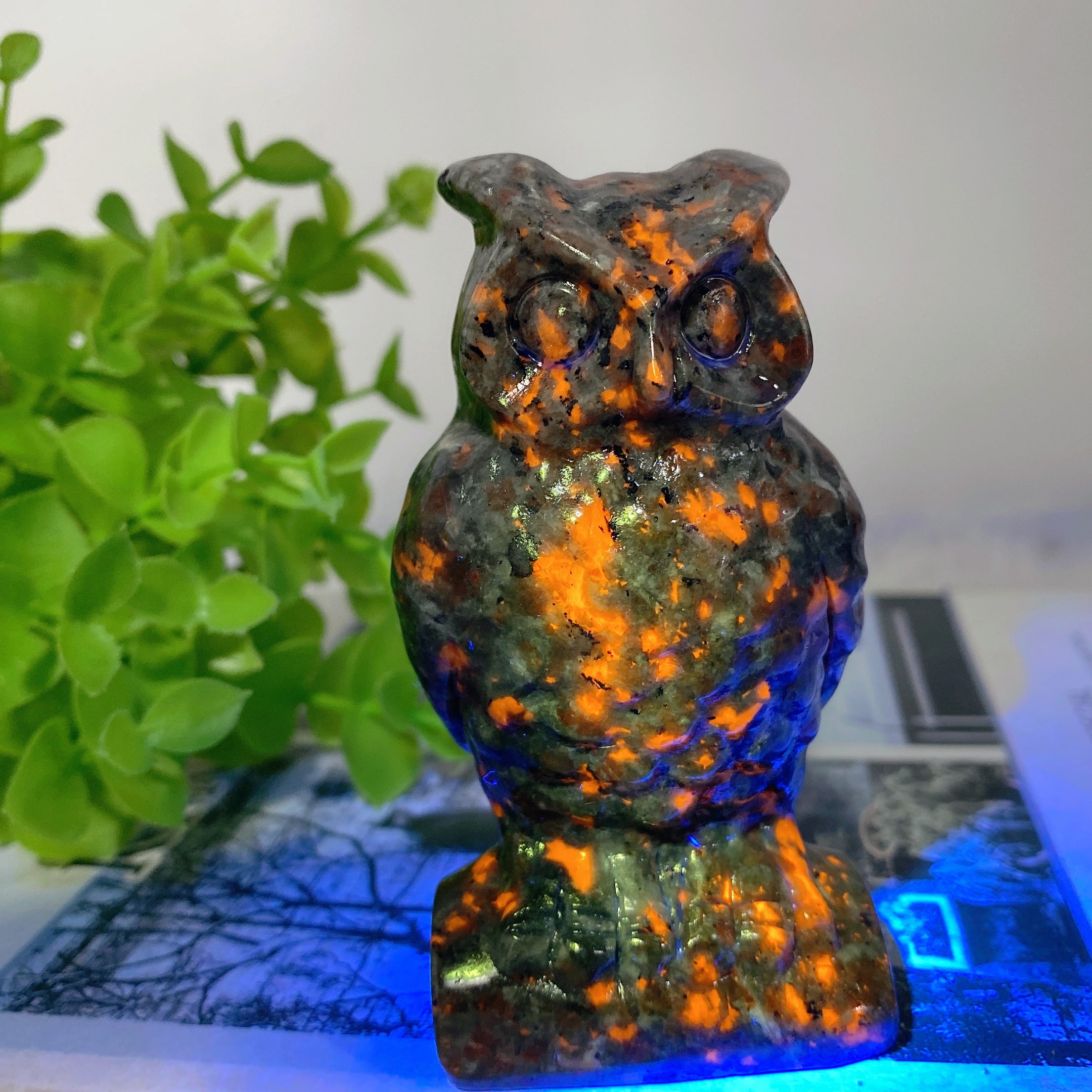 Sculpture de hibou en cristal Yooperlite de 3,5 pouces pour la guérison