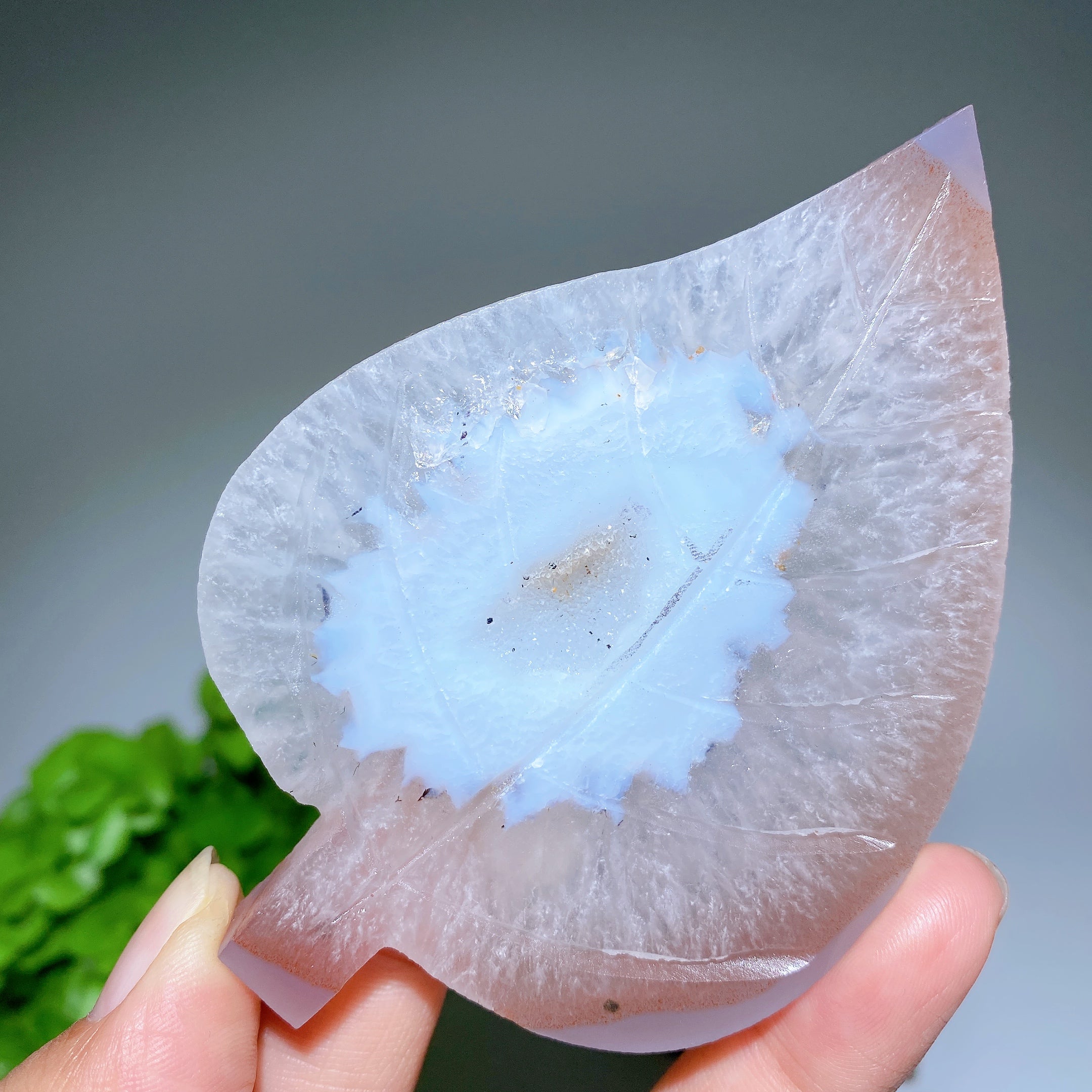 Figurine en cristal de feuille d'agate druzy de 9,9 cm pour la guérison