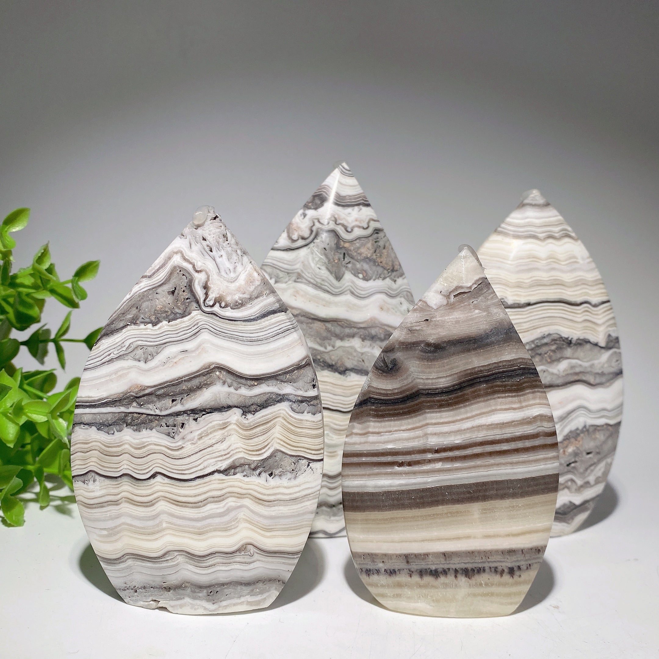 Cristal de calcite chocolatée en bandes de forme libre de 4,2 à 5,5 pouces