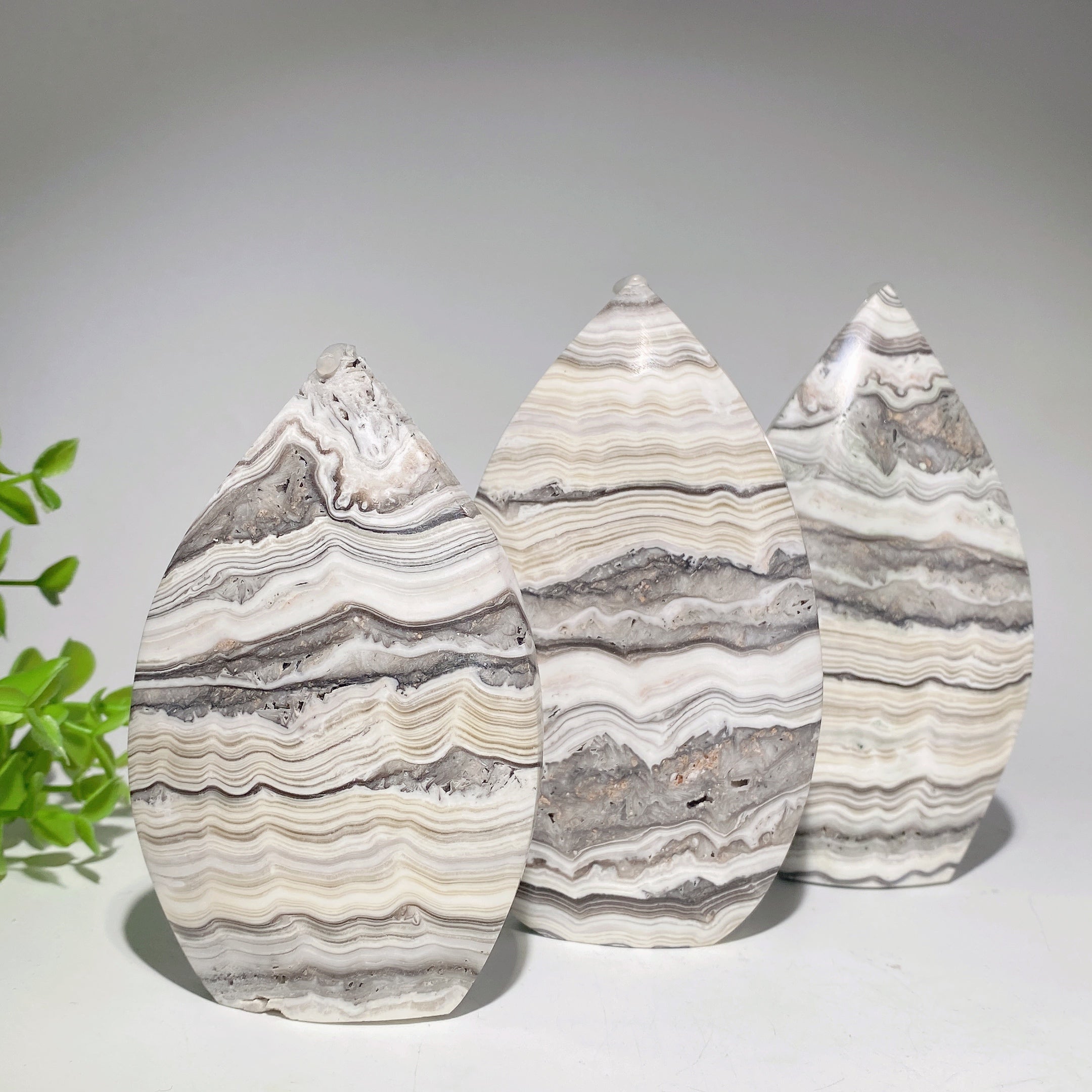 Cristal de calcite chocolatée en bandes de forme libre de 4,2 à 5,5 pouces