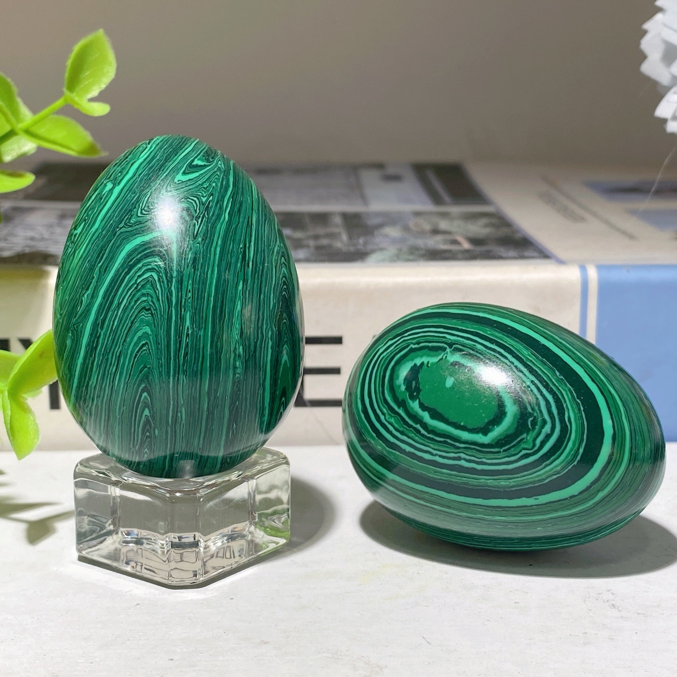 Œuf en cristal de malachite de 50 mm pour la guérison et la méditation