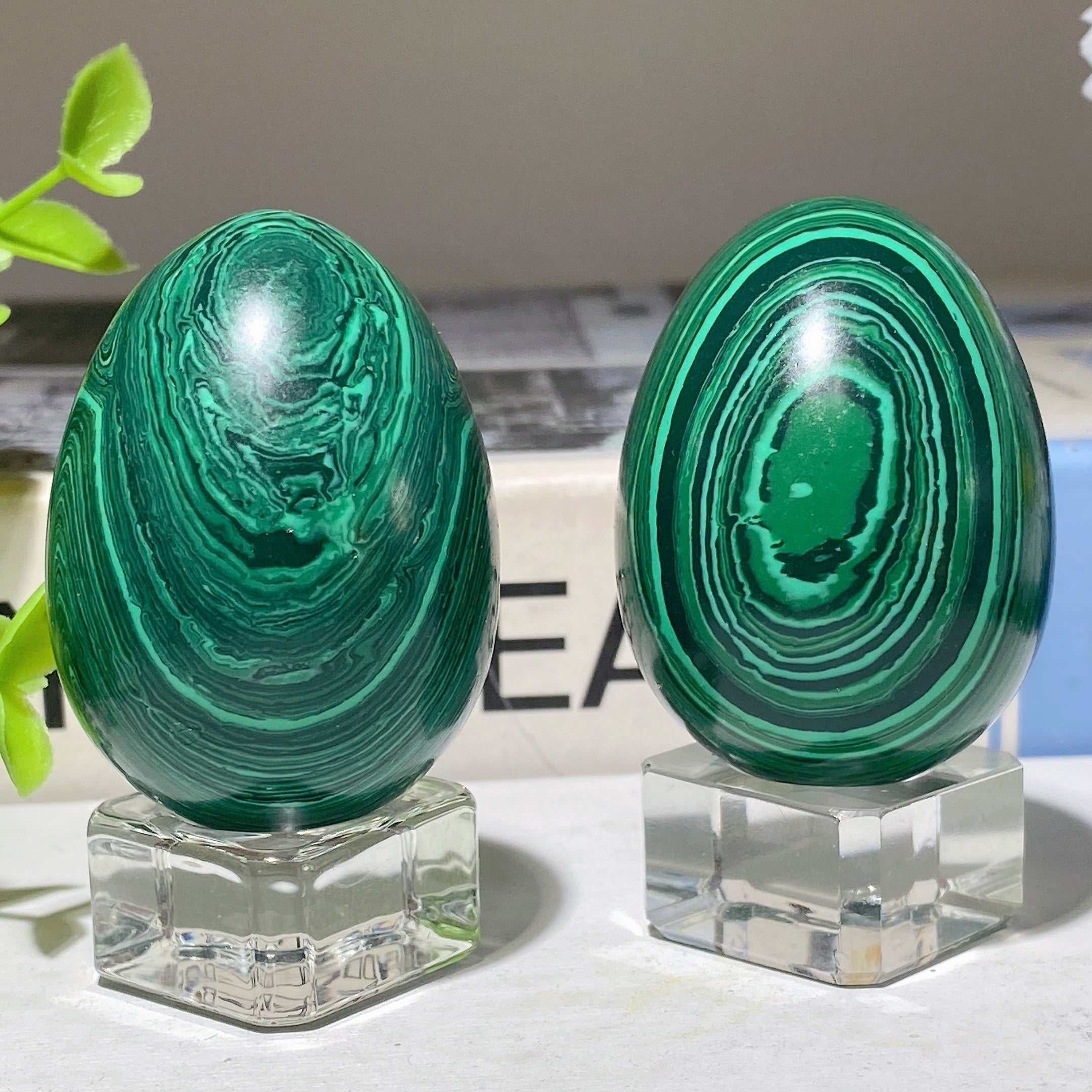 Œuf en cristal de malachite de 50 mm pour la guérison et la méditation