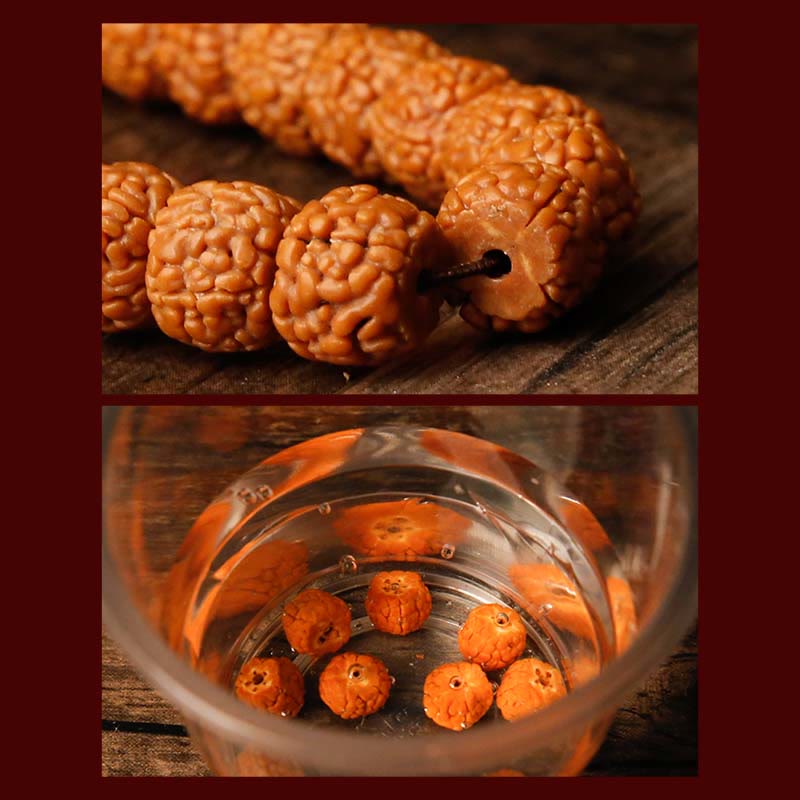 Bracelet Mala tibétain à 108 perles Bodhi Seed Zodiac Charm