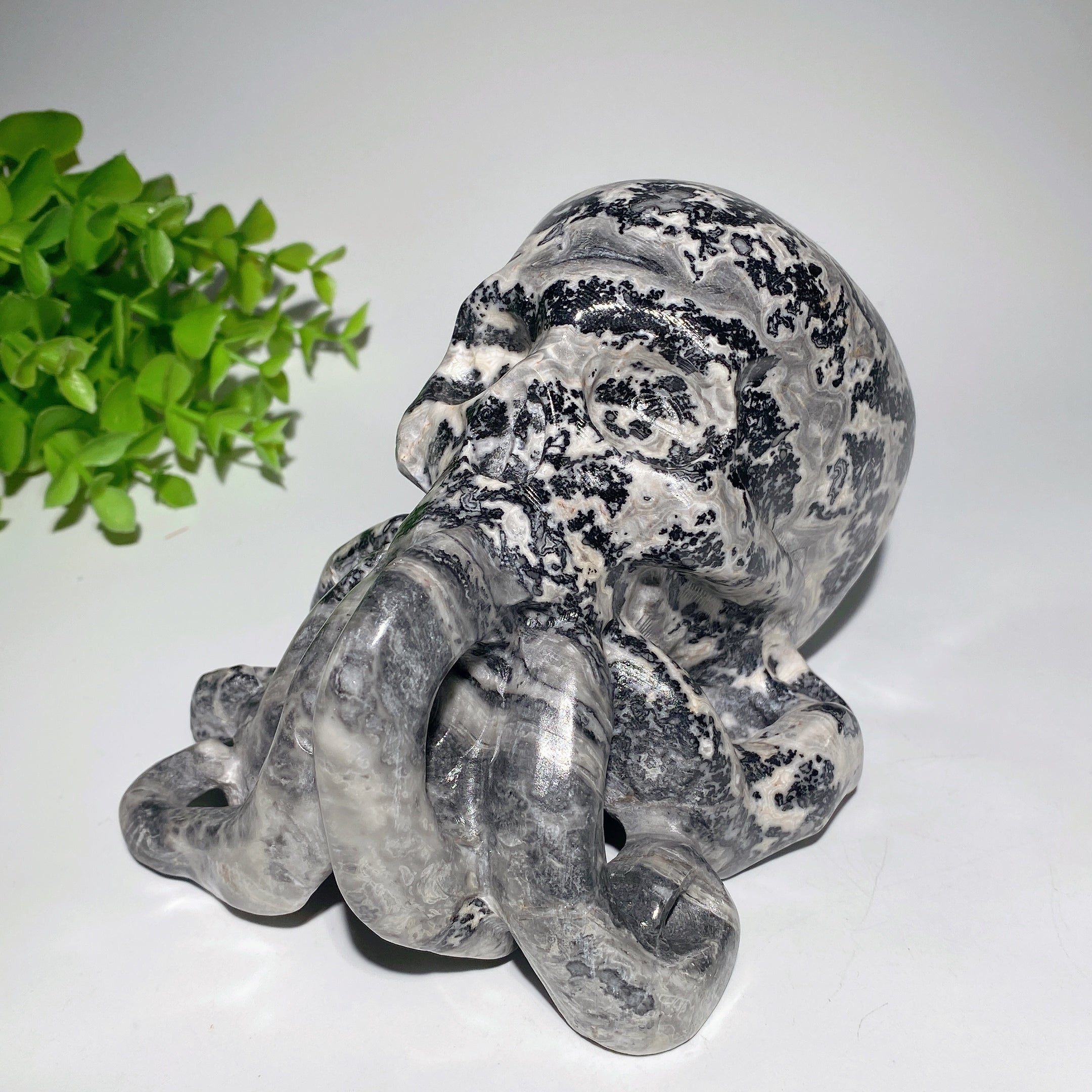 Figurine de crâne de pieuvre en pierre Picasso de 6,2 pouces