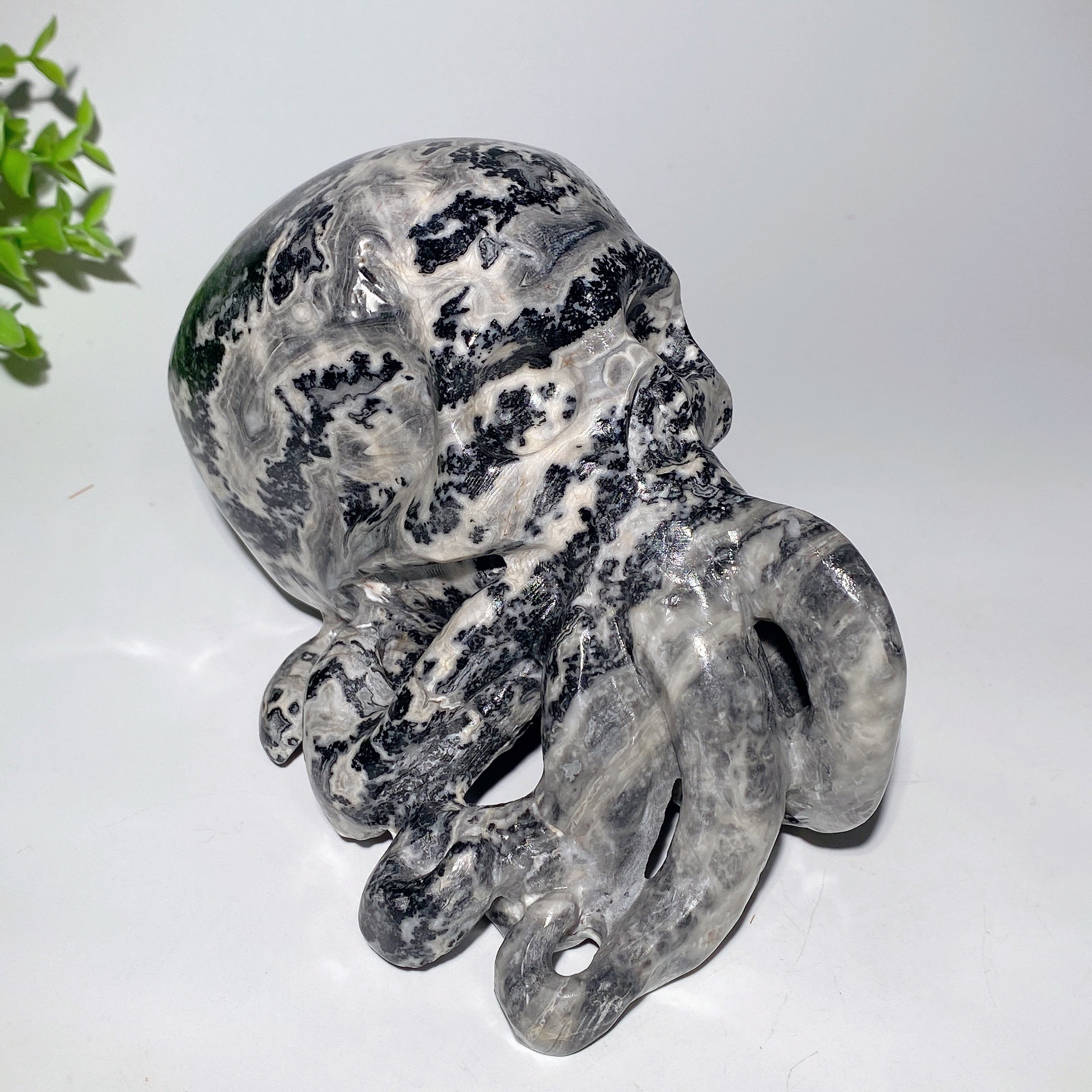 Figurine de crâne de pieuvre en pierre Picasso de 6,2 pouces