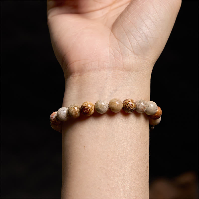Bracelet de compassion en corail fossile de 8 à 9 mm pour l'estime de soi et la force