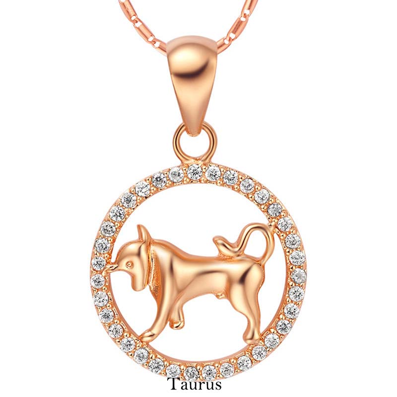 12 Zodiac Sign Copper Necklace | Luck & Healing Pendant