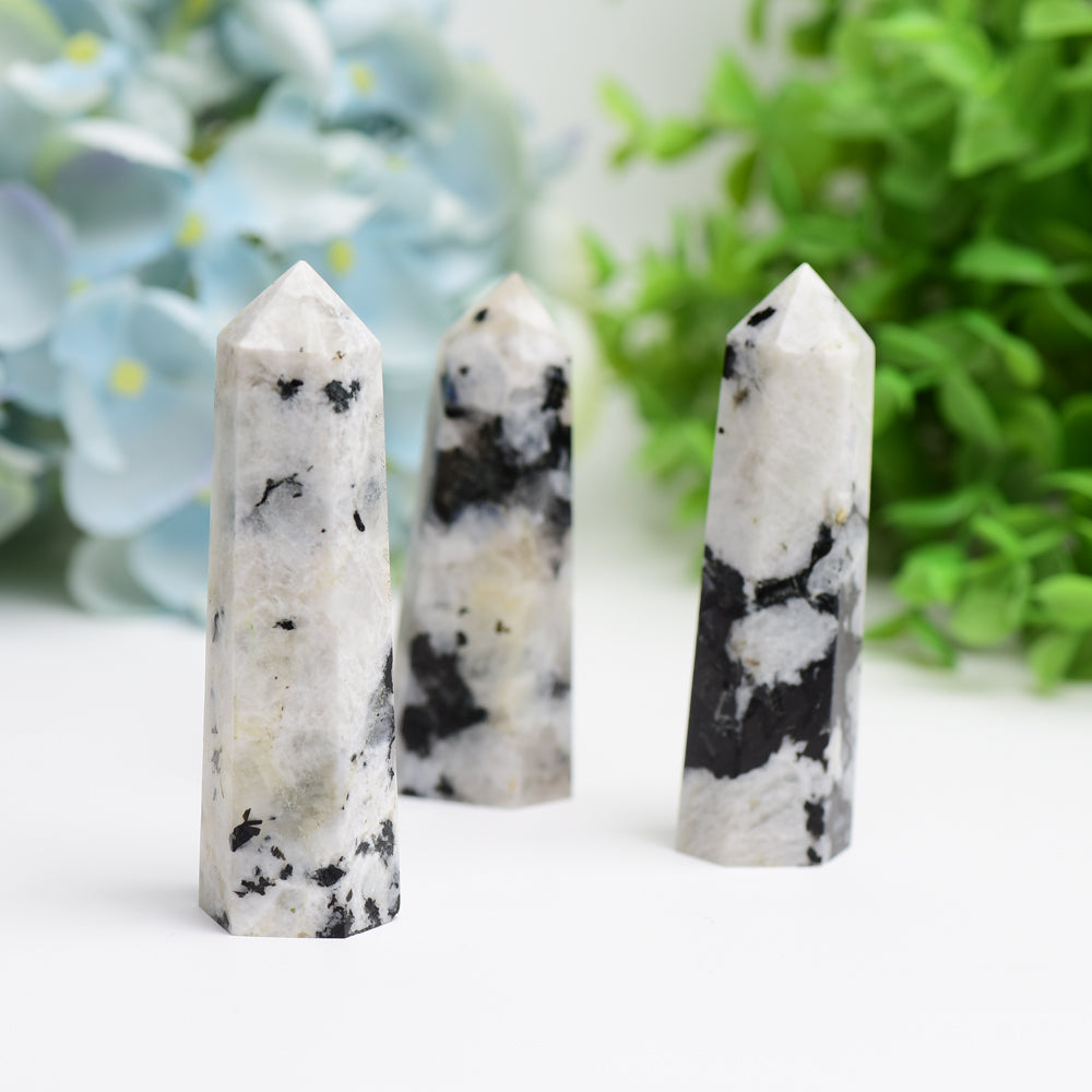 Black Moon Stone Crystal Point 2.5-4.5 Inch Healing