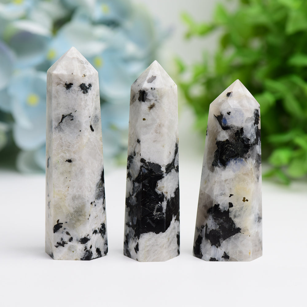Black Moon Stone Crystal Point 2.5-4.5 Inch Healing