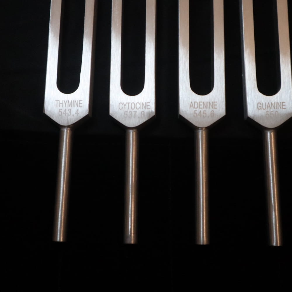 Four metallic tuning forks in a row from DNA Nucleotide Tuning Fork set for Biofield Therapy
