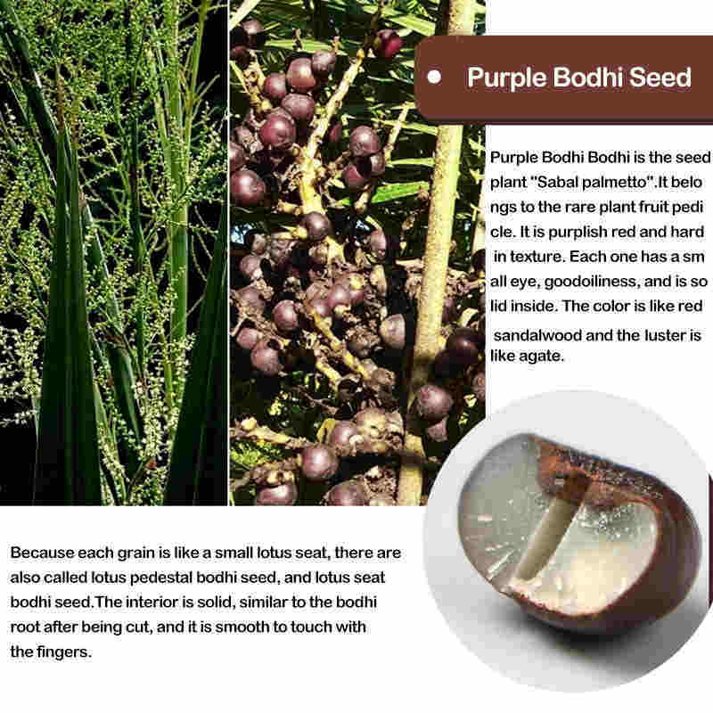 Bracelet Mala Bodhi Seed 108 perles pour la méditation et l'harmonie