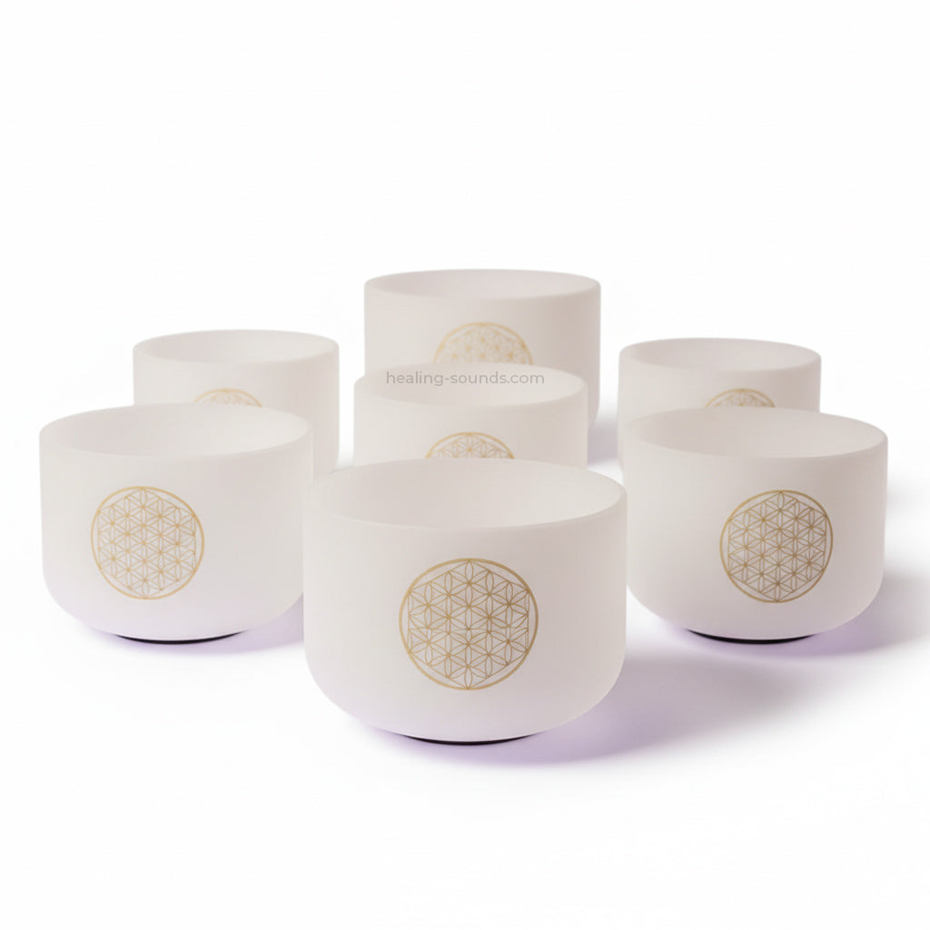 Ensemble de bols chantants en cristal de quartz Fleur de Vie pour la méditation