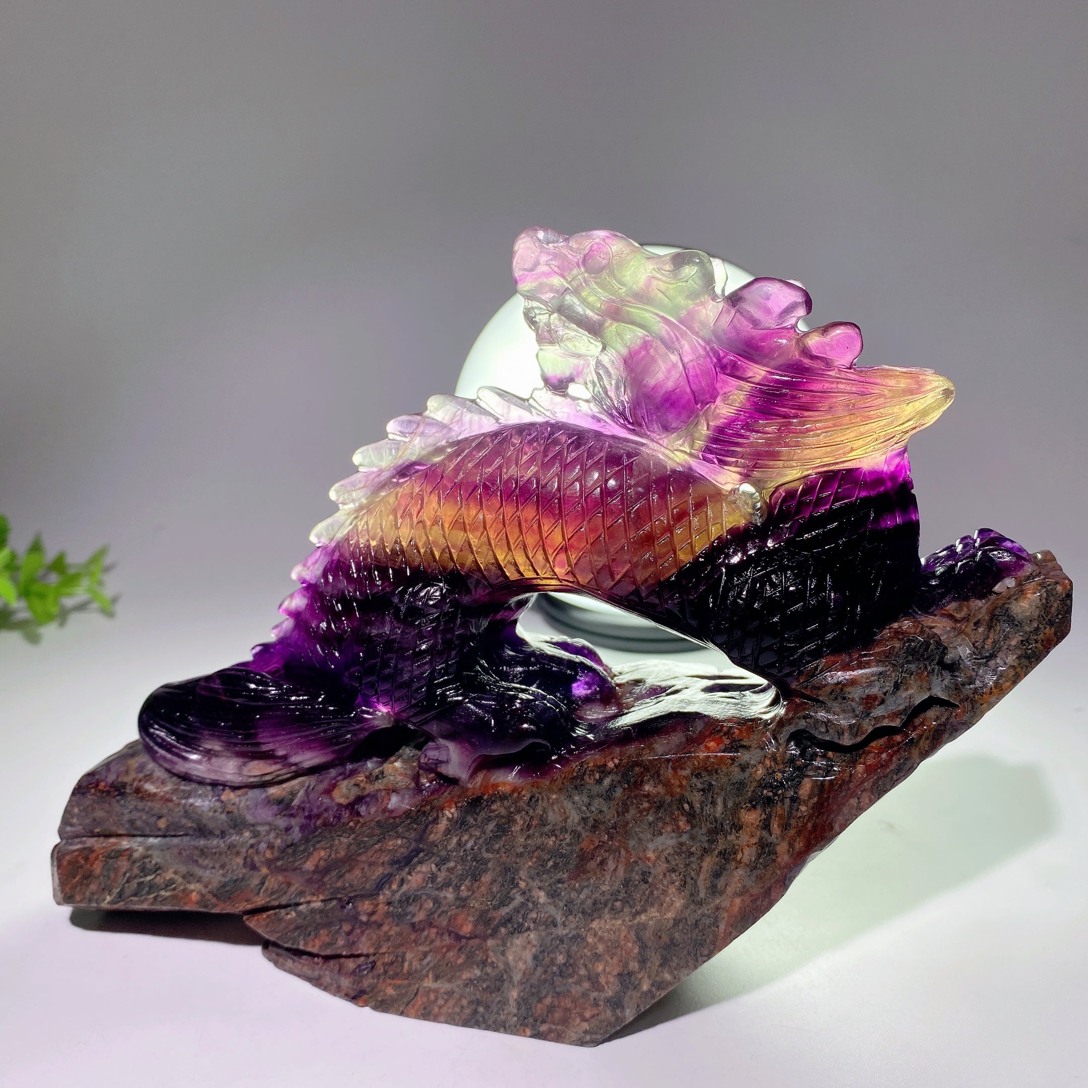 Fluorite Crystal Dragon Carving 5.3-8.5 Inch Healing Sculpture