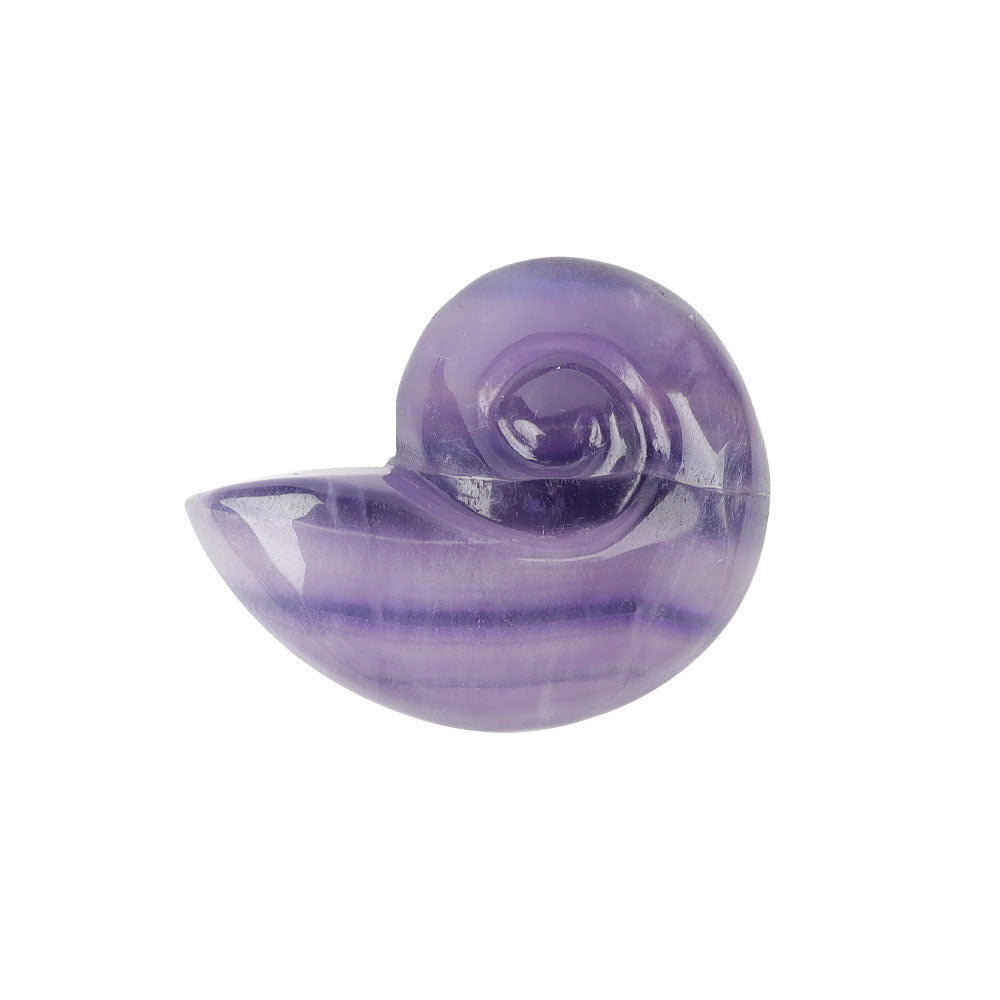 Fluorite Crystal Snail Shell Carving 1.92" Hand-Carved Figurine