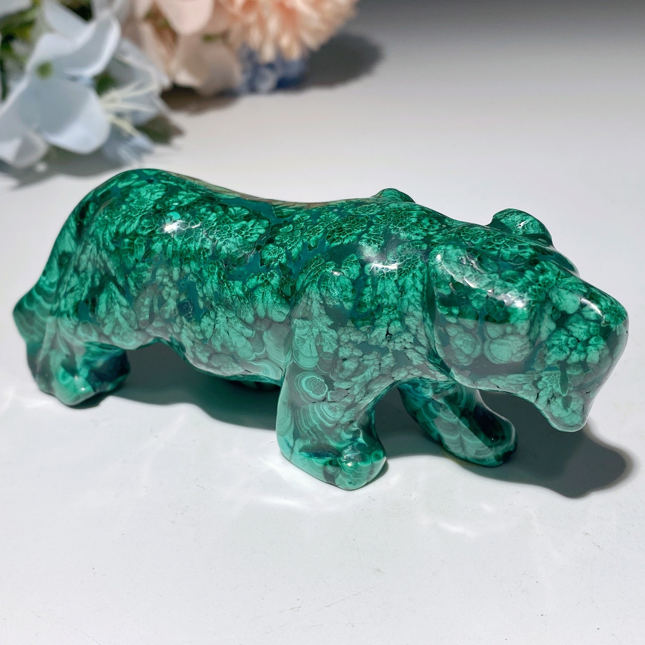 Malachite Crystal Animal Carvings 2.3-5.7 inch Healing Figurines