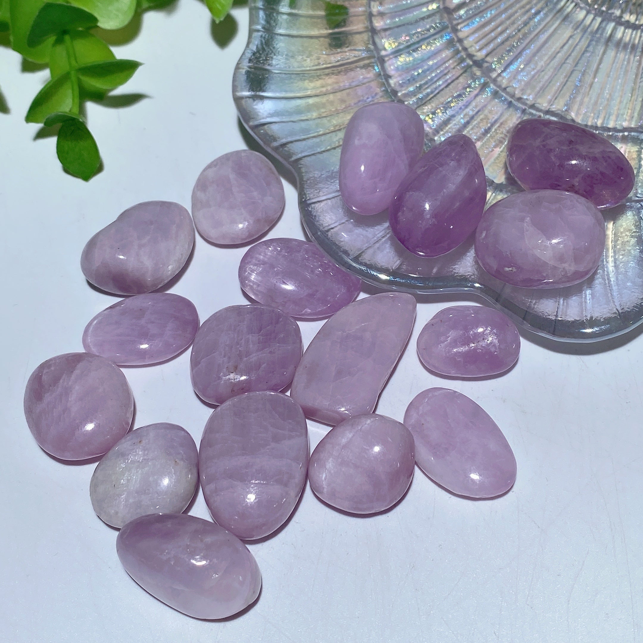 Natural Tumbled Stones 15-30mm for Crystal Healing