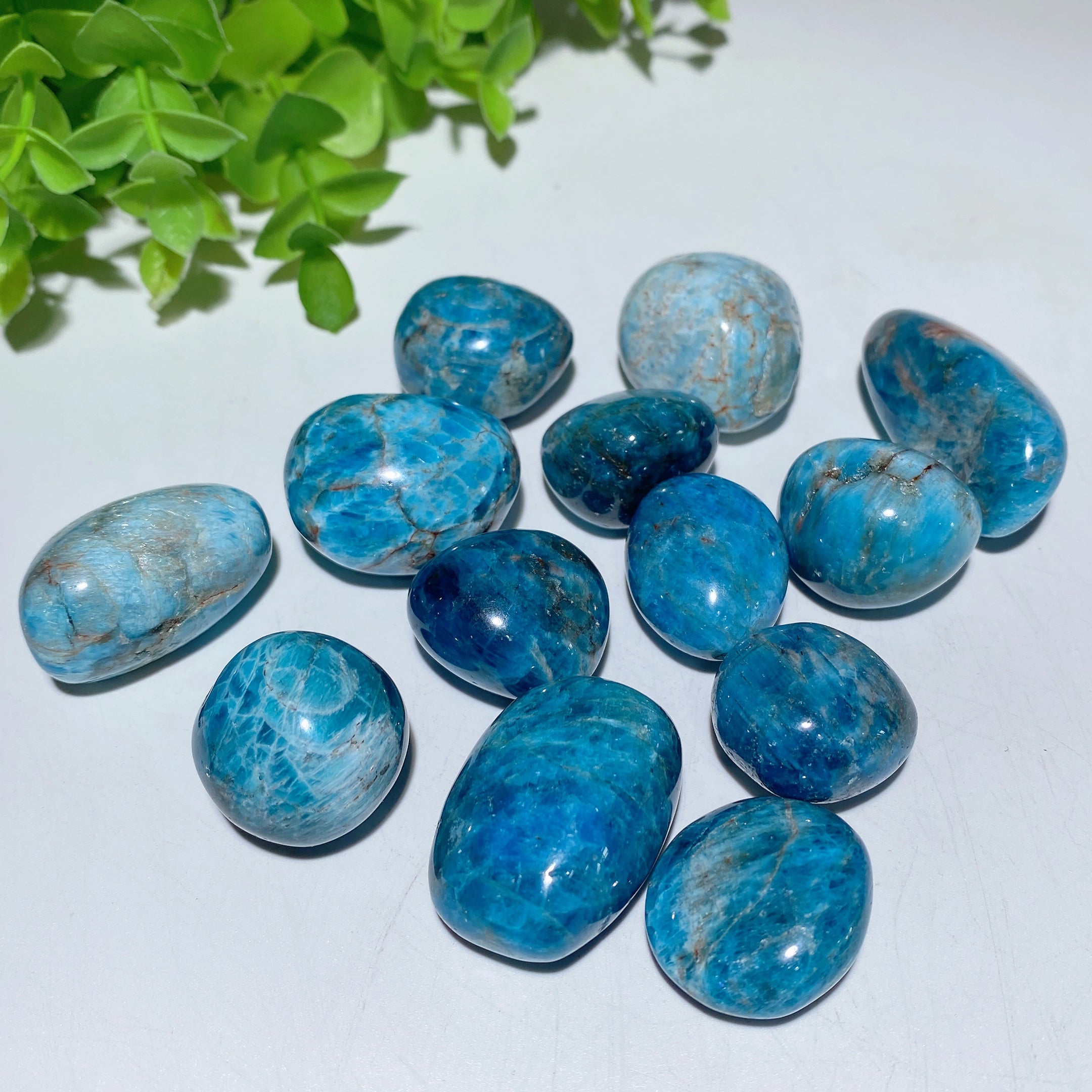 Natural Tumbled Stones 15-30mm for Crystal Healing