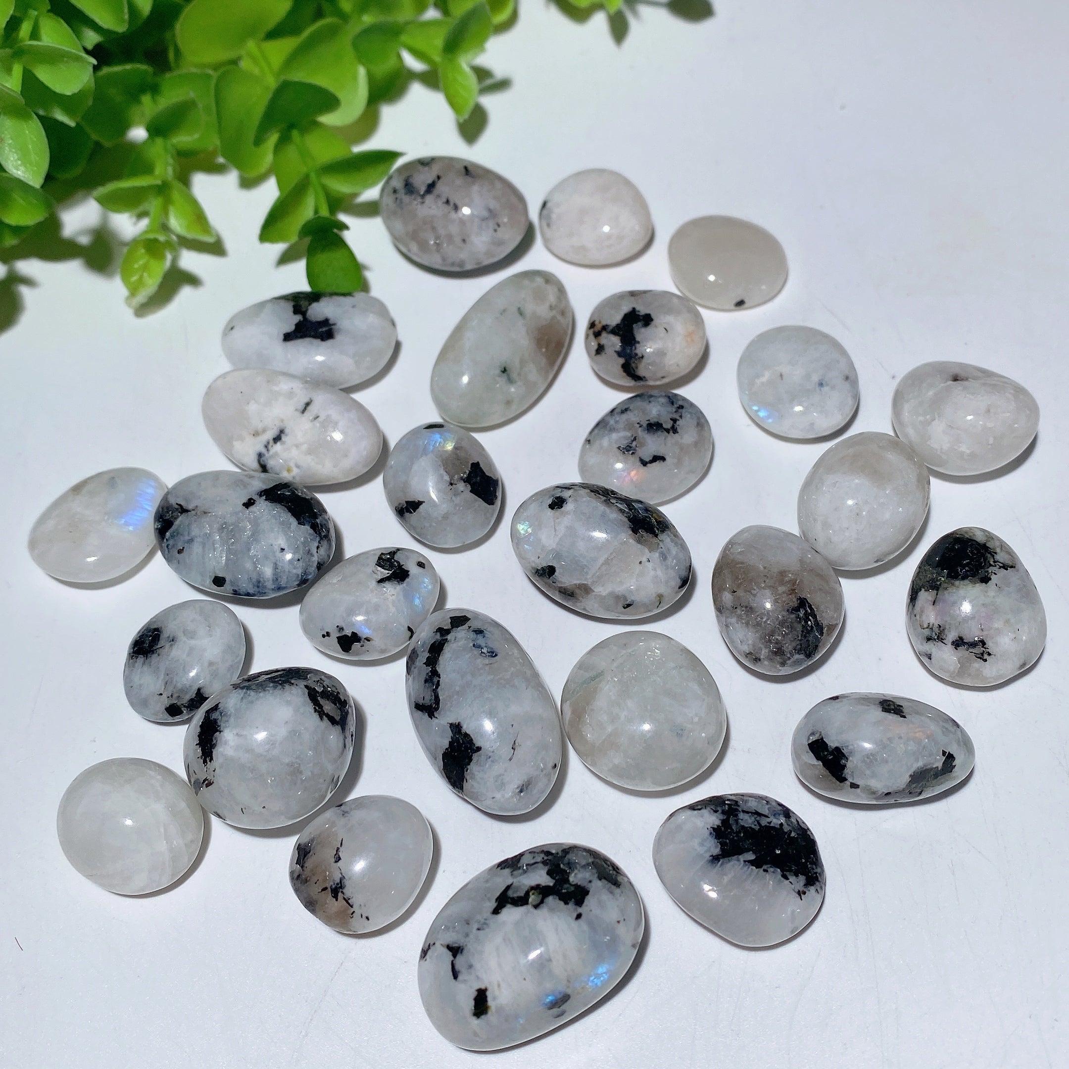 Natural Tumbled Stones 15-30mm for Crystal Healing
