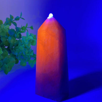 Tour de cristal de kunzite réactive aux UV de 7,6 à 14 cm (3 à 5,5 pouces) et d'énergie de guérison