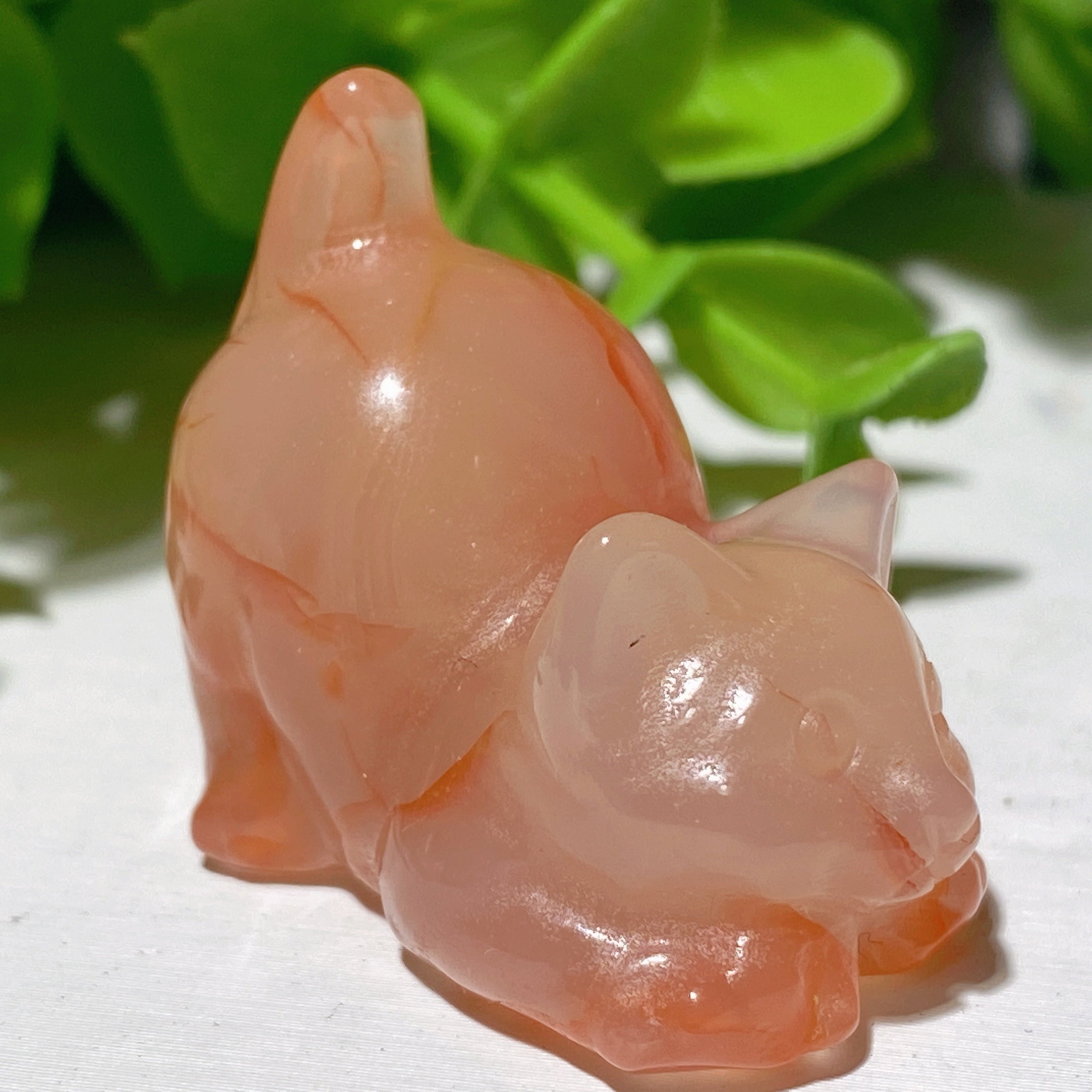 1.2 inch Mixed Crystal Cat Carvings - Healing Gemstone Figurines
