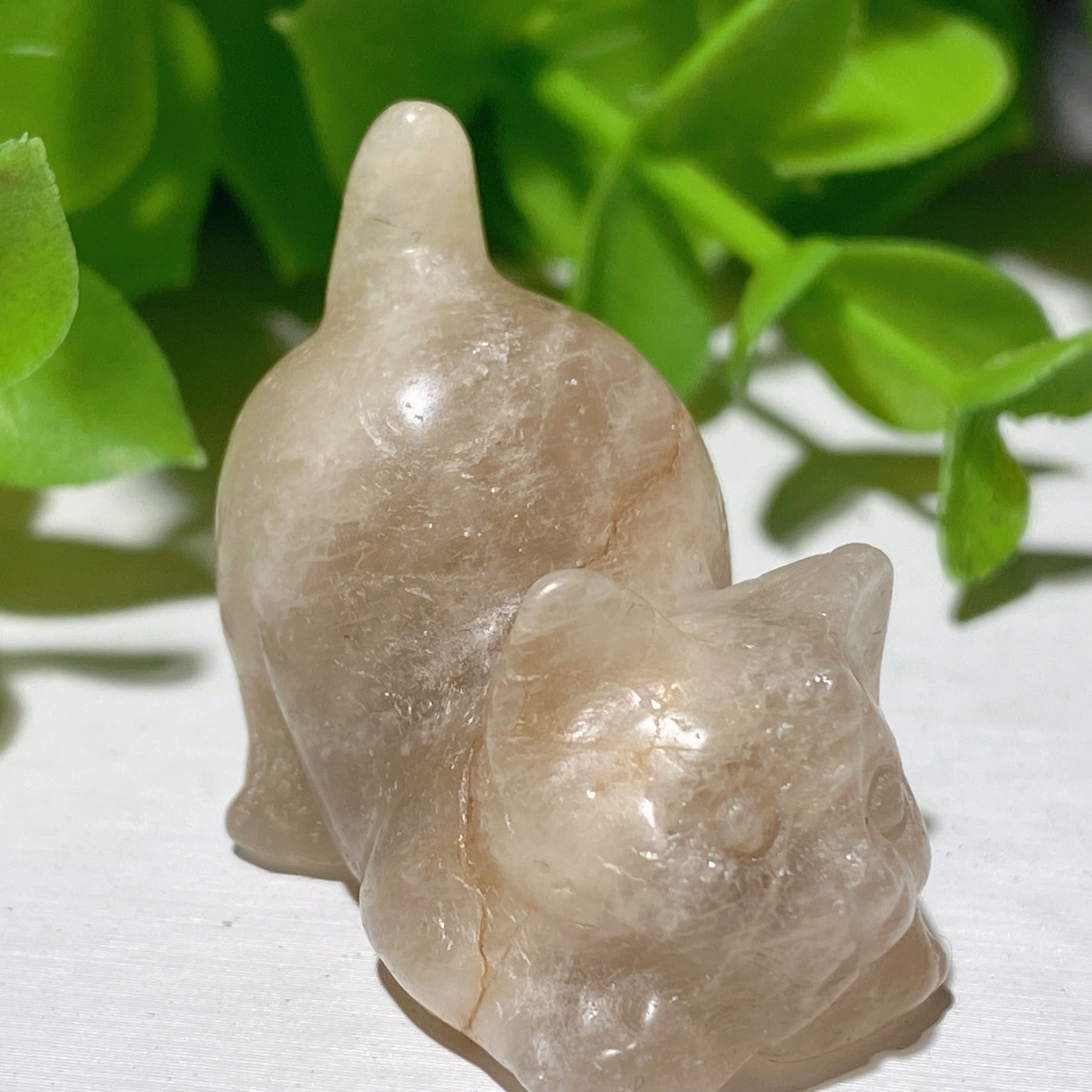 1.2 inch Mixed Crystal Cat Carvings - Healing Gemstone Figurines